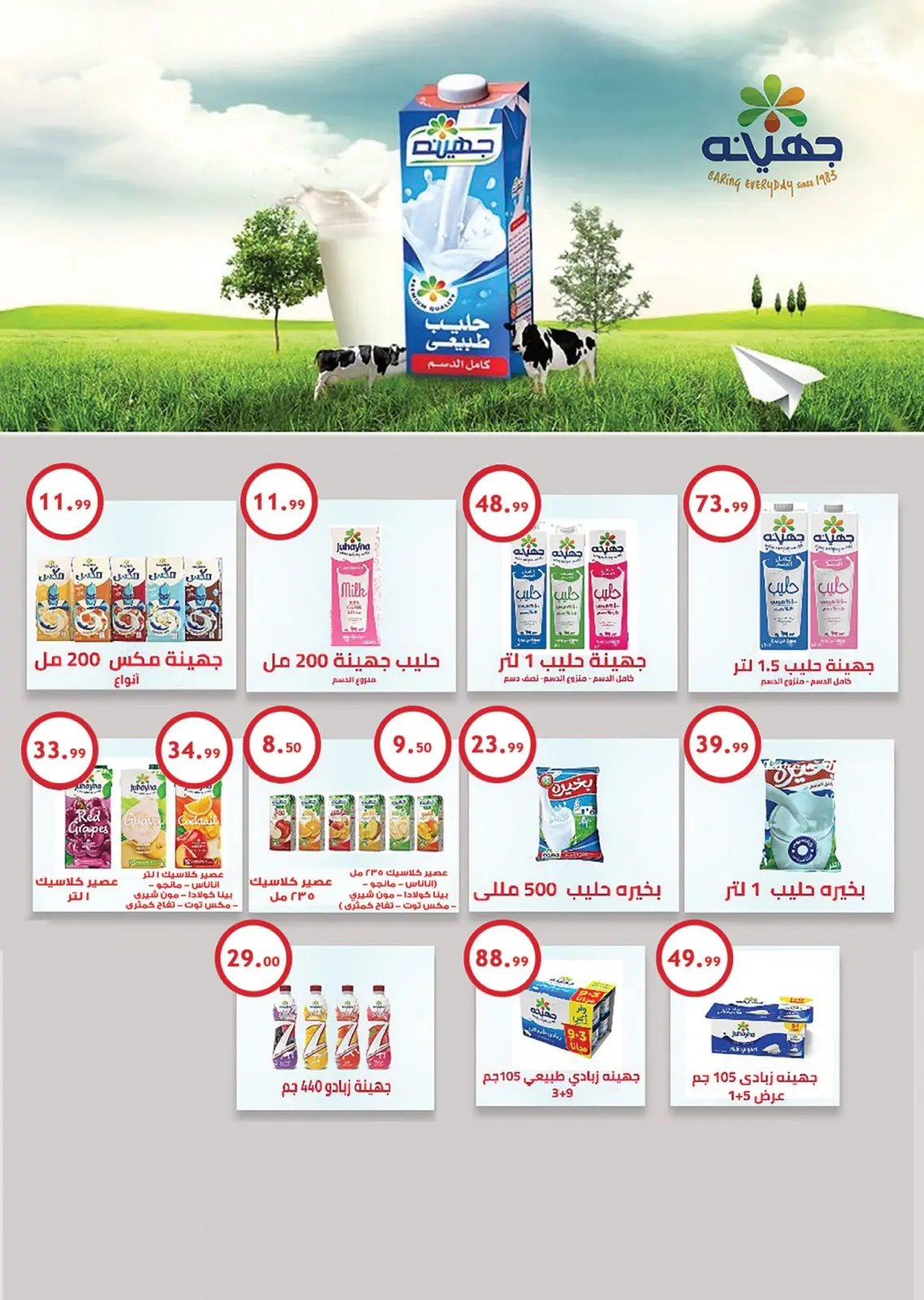 Page 15 in White Friday Deals at Hyper Hub Egypt