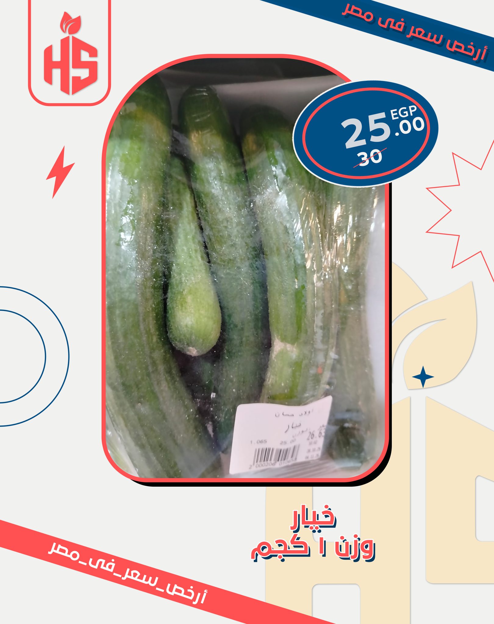 Hassan Sons Markets Egypt Offers from 26 November to 2 December 2025 Lowest price offers