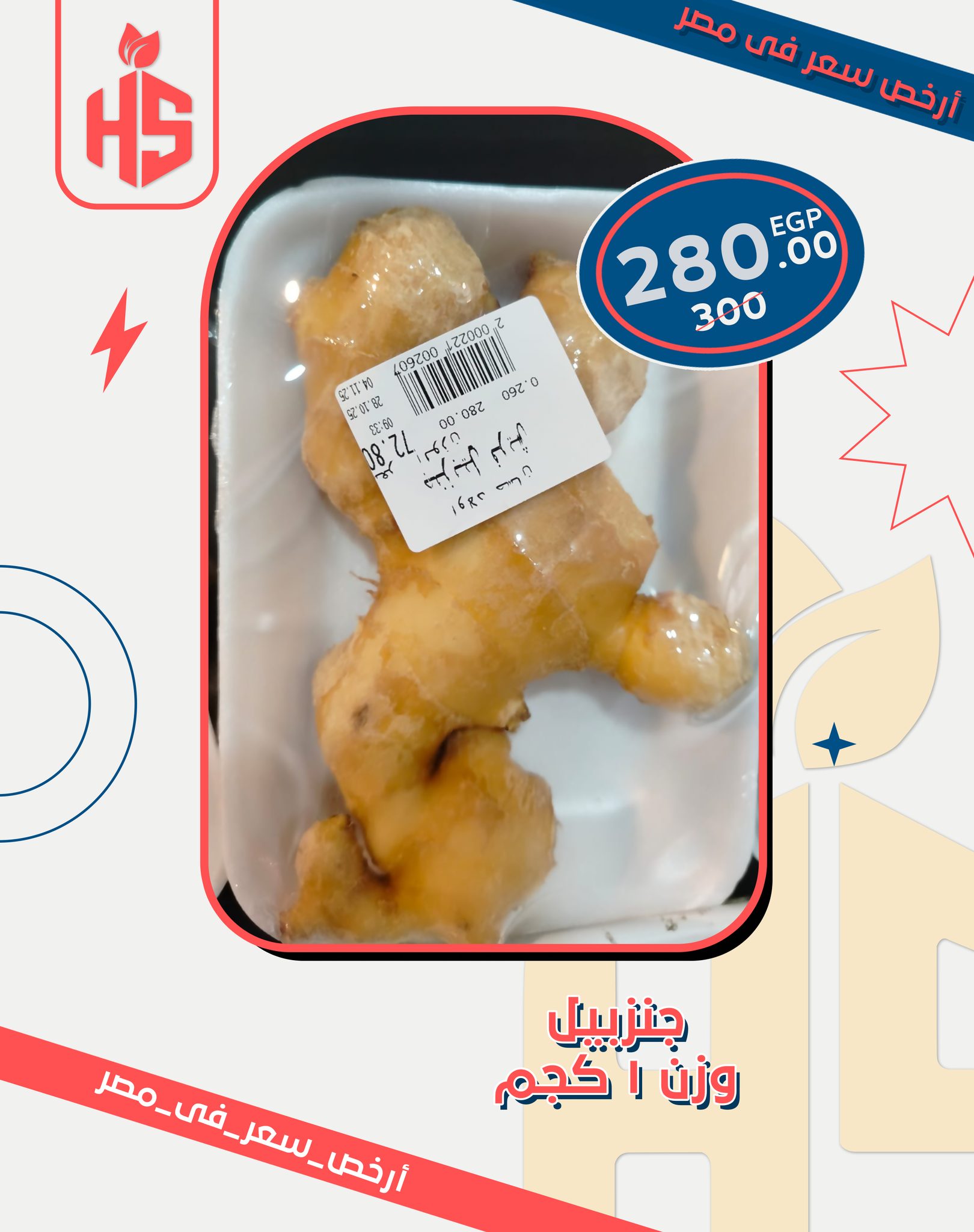 Hassan Sons Markets Egypt Offers from 26 November to 2 December 2025 Lowest price offers