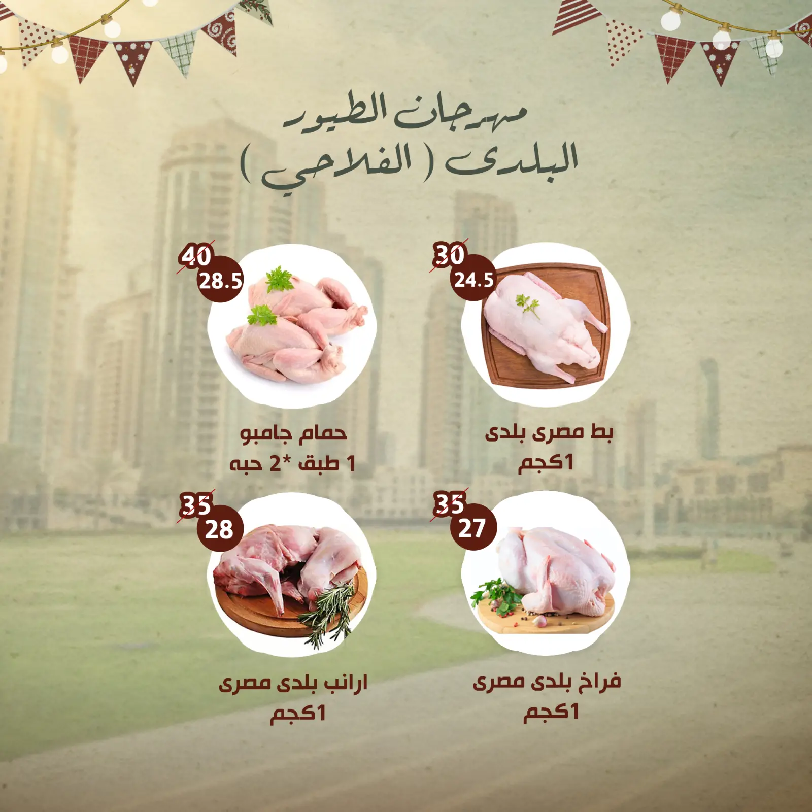 صفحة 17 ضمن مهرجان عروض النهضة المصرية في النهضة المصرية الإمارات