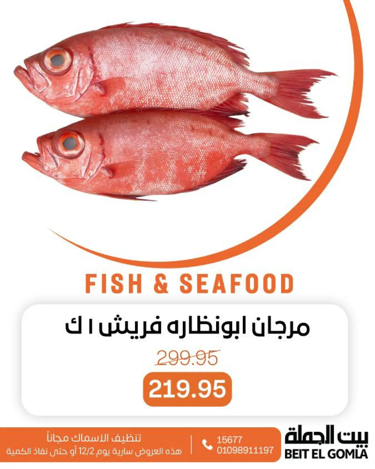 Página 12 en Ofertas de pescado en Casa Gomla Egipto