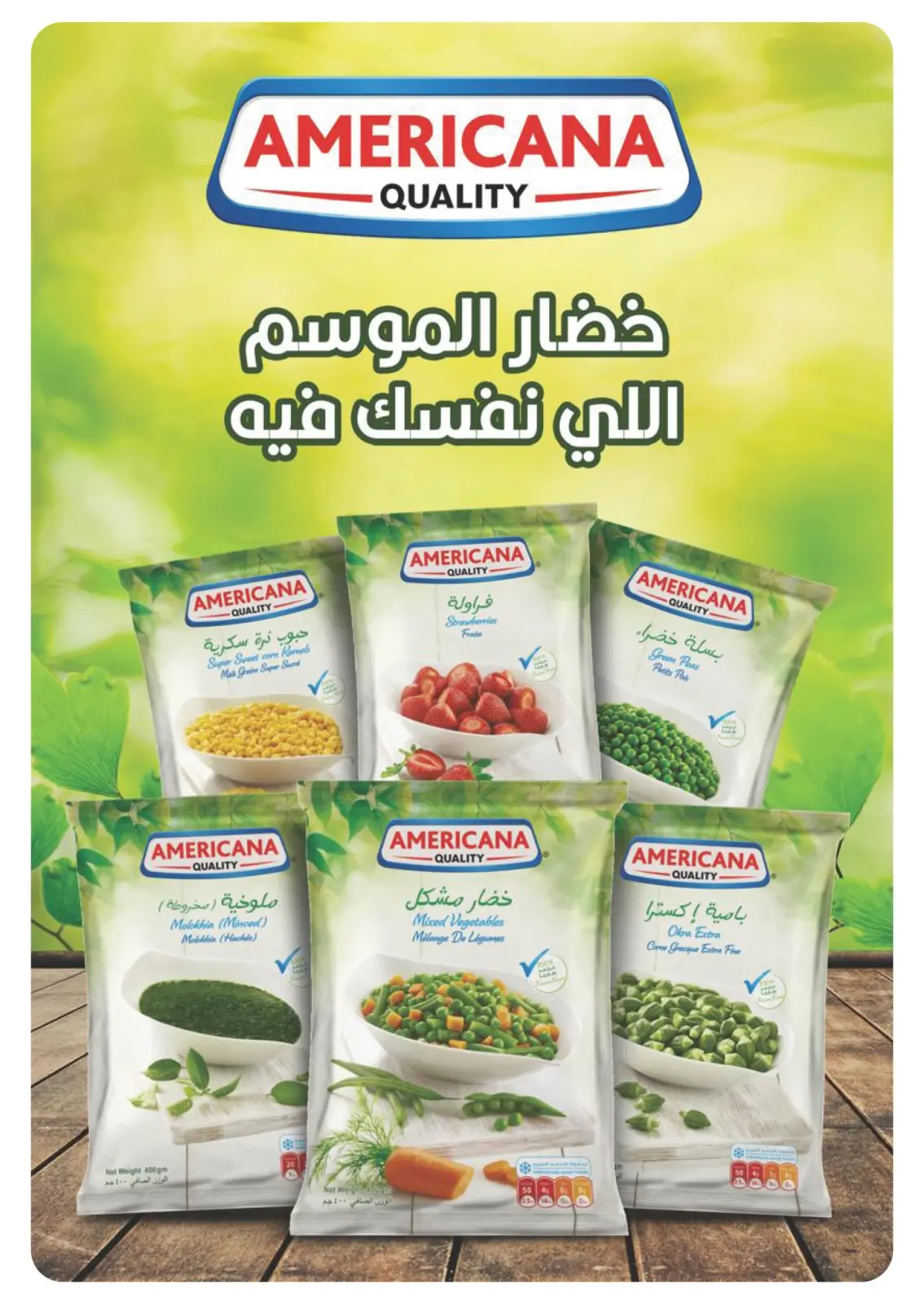 Página 46 en Ofertas especiales en Panda Egipto