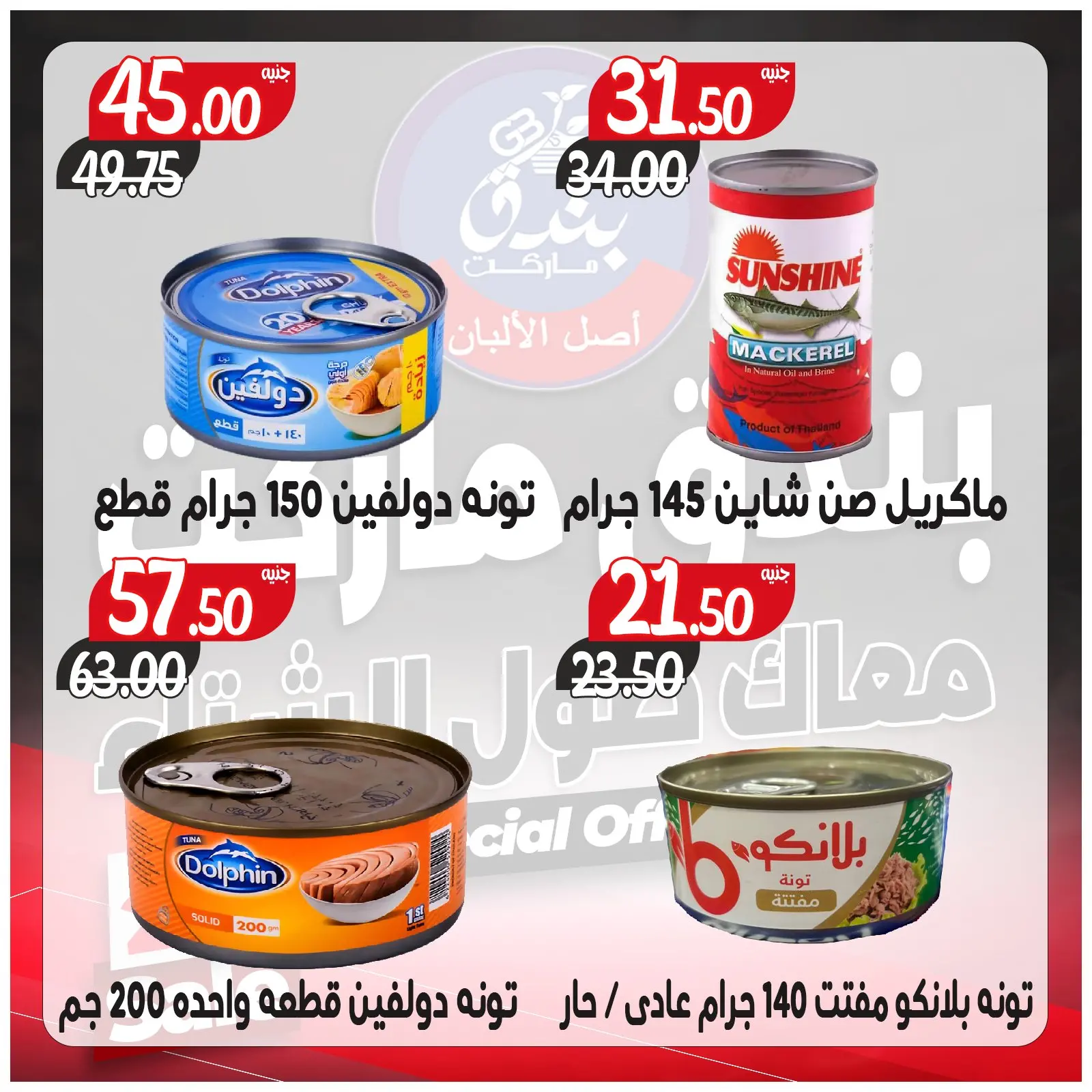 Página 62 en Ofertas contigo todo el invierno en Mercado de Bondok Egipto