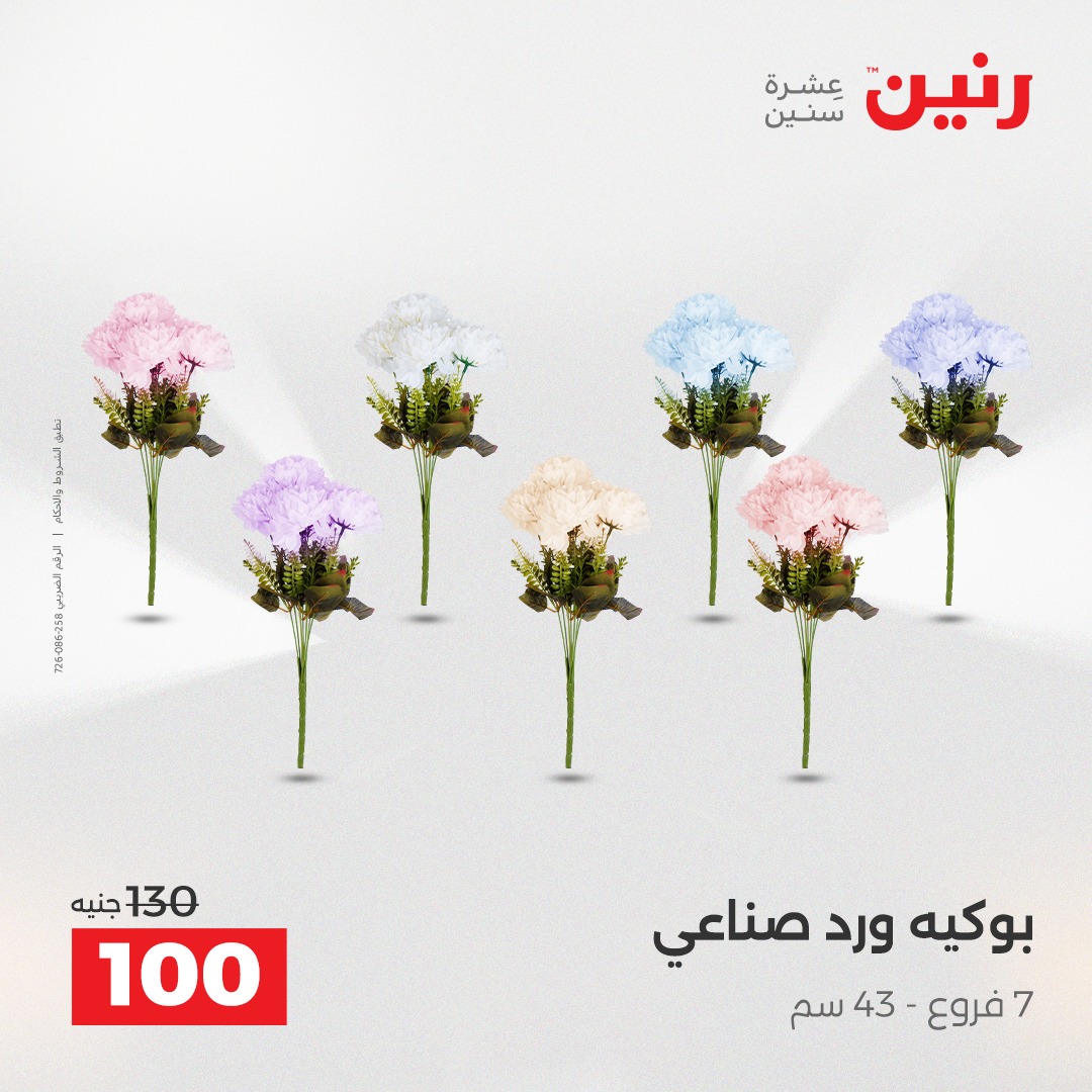 عروض رنين مصر من 4 حتى 6 ديسمبر 2025 عروض قطع الديكور