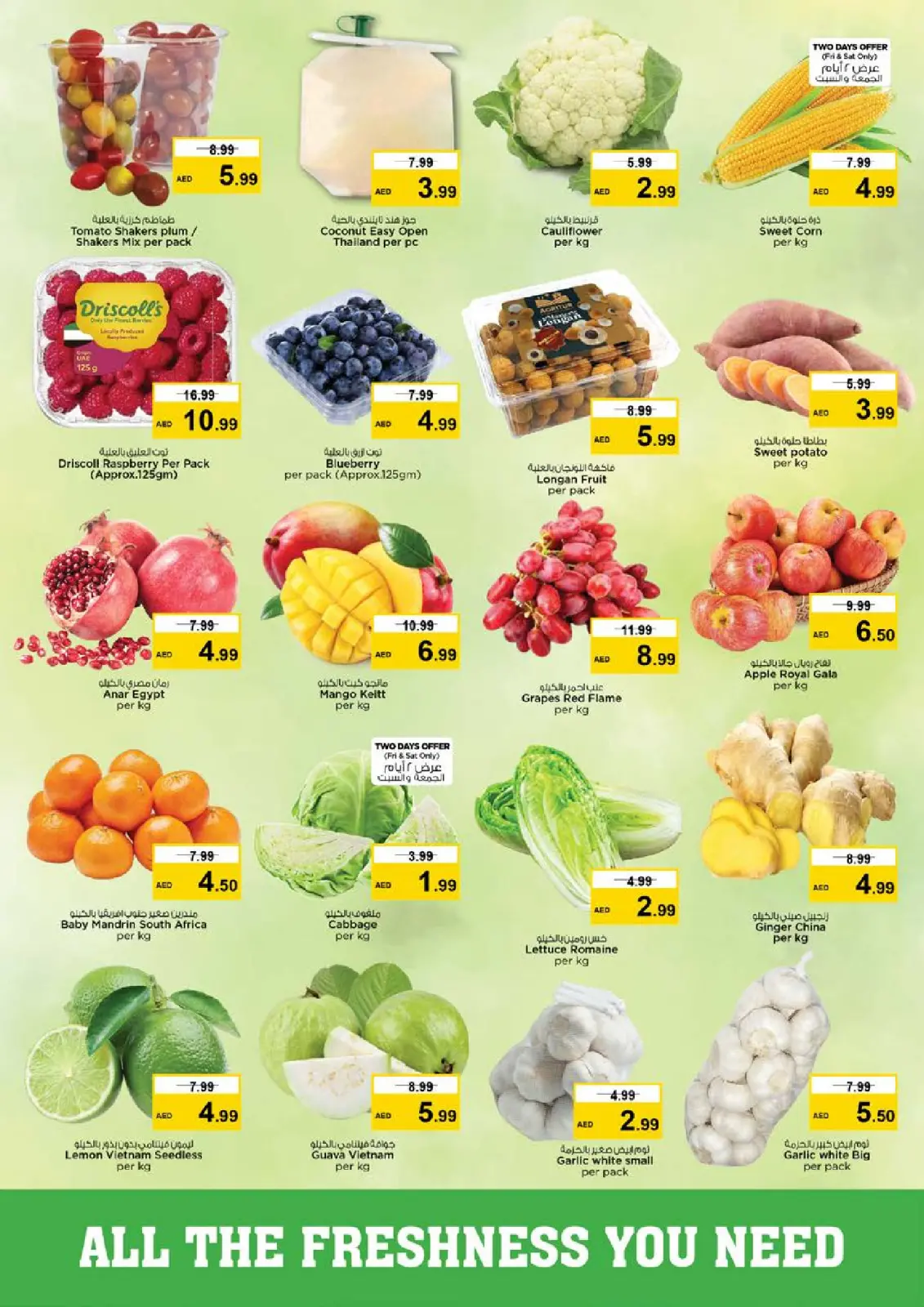 صفحة 2 ضمن عروض ديسمبر ديلايتس فقط في التلة في نستو الإمارات