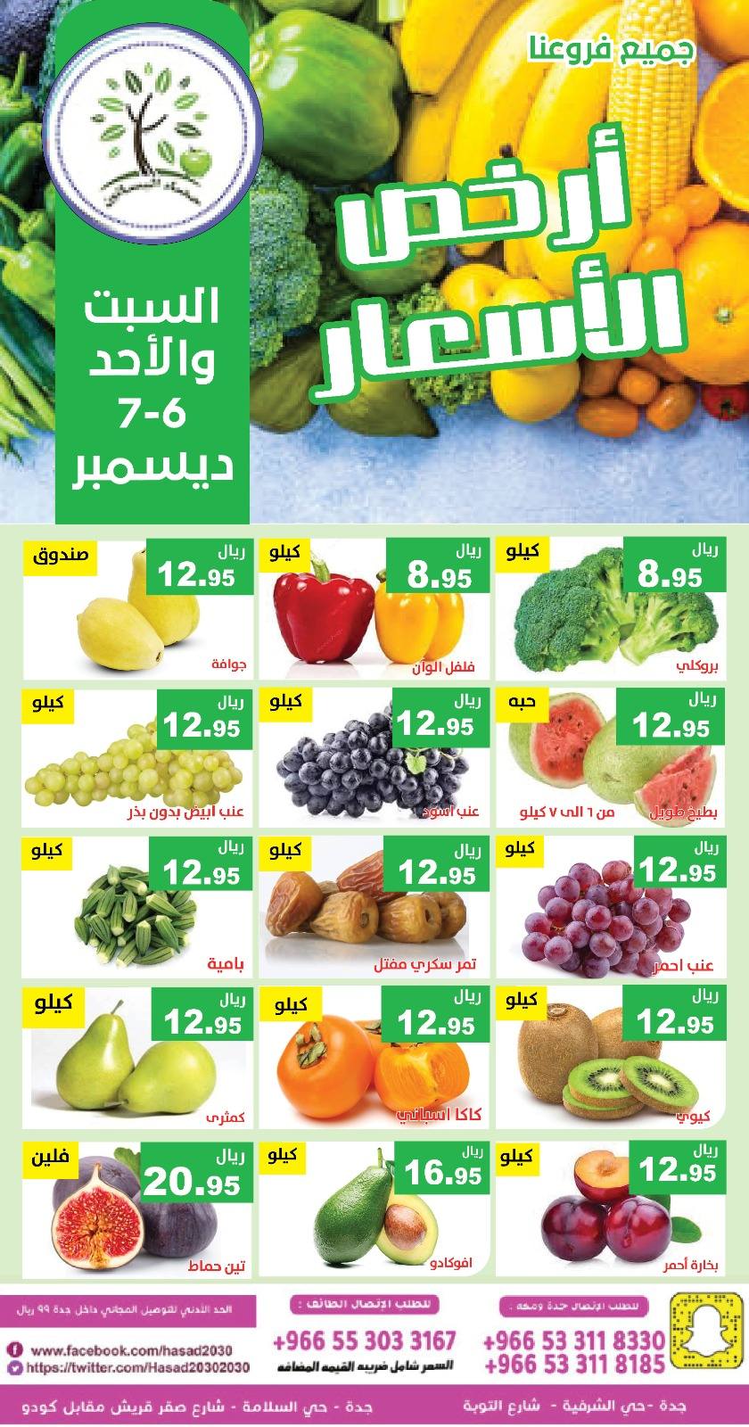Hasad Albasatin Saudi Arabia Offers from 6 to 7 December 2025 Low Price