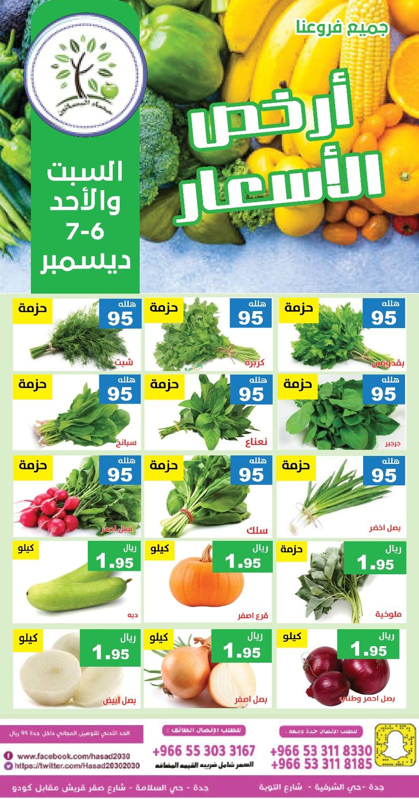 Hasad Albasatin Saudi Arabia Offers from 6 to 7 December 2025 Low Price
