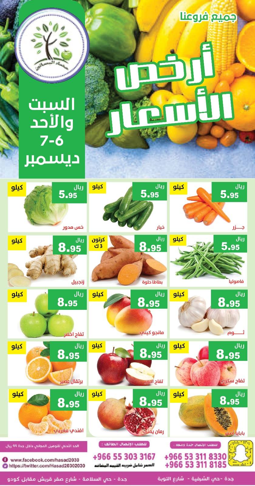 Hasad Albasatin Saudi Arabia Offers from 6 to 7 December 2025 Low Price - Page 1