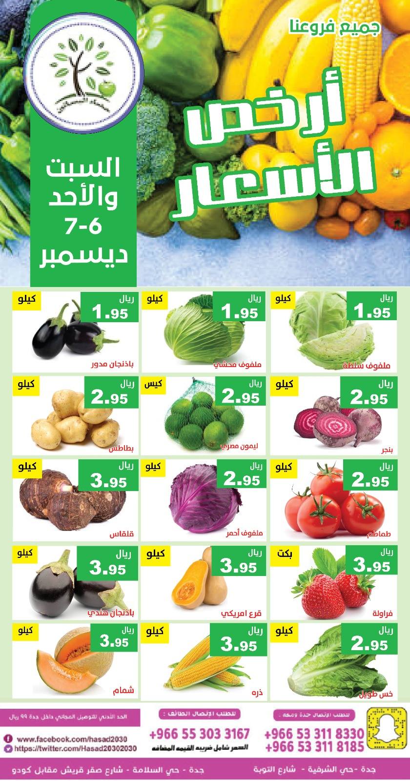 Hasad Albasatin Saudi Arabia Offers from 6 to 7 December 2025 Low Price