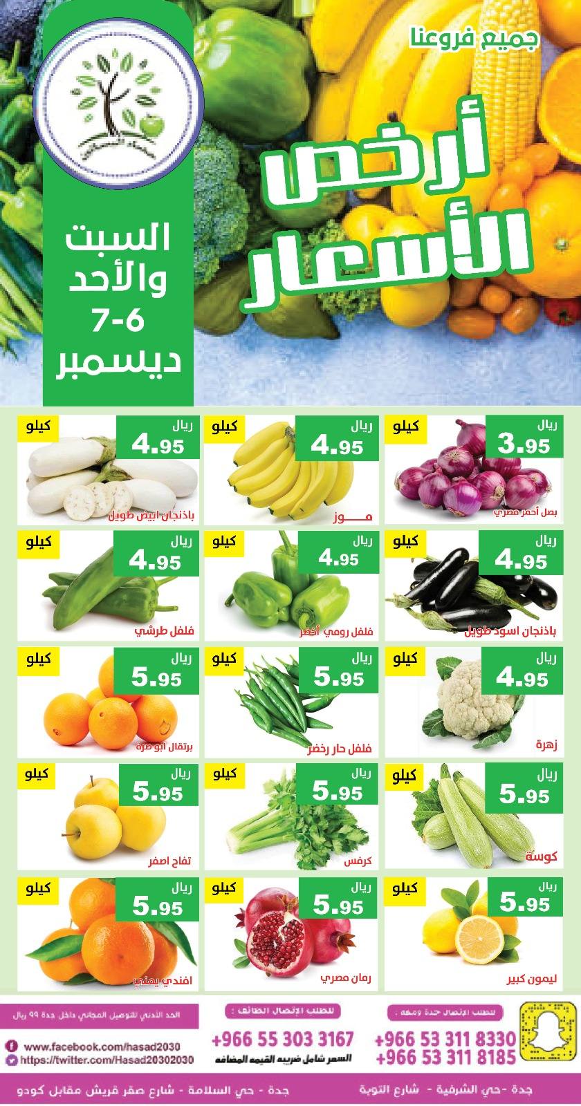 Hasad Albasatin Saudi Arabia Offers from 6 to 7 December 2025 Low Price