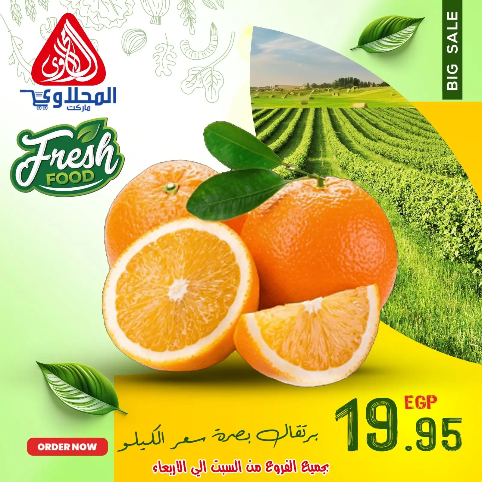 Página 7 en Ofertas de frutas y verduras en Mercado El Mahlawy Egipto