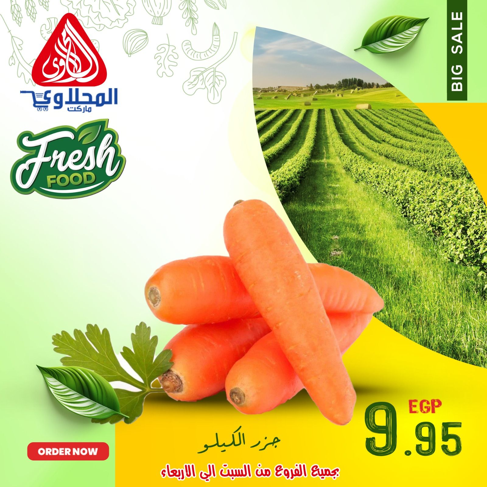 Offres Marché El Mahlawy Egypte de 7 à 11 décembre 2025 Offres de fruits et légumes - Page 1