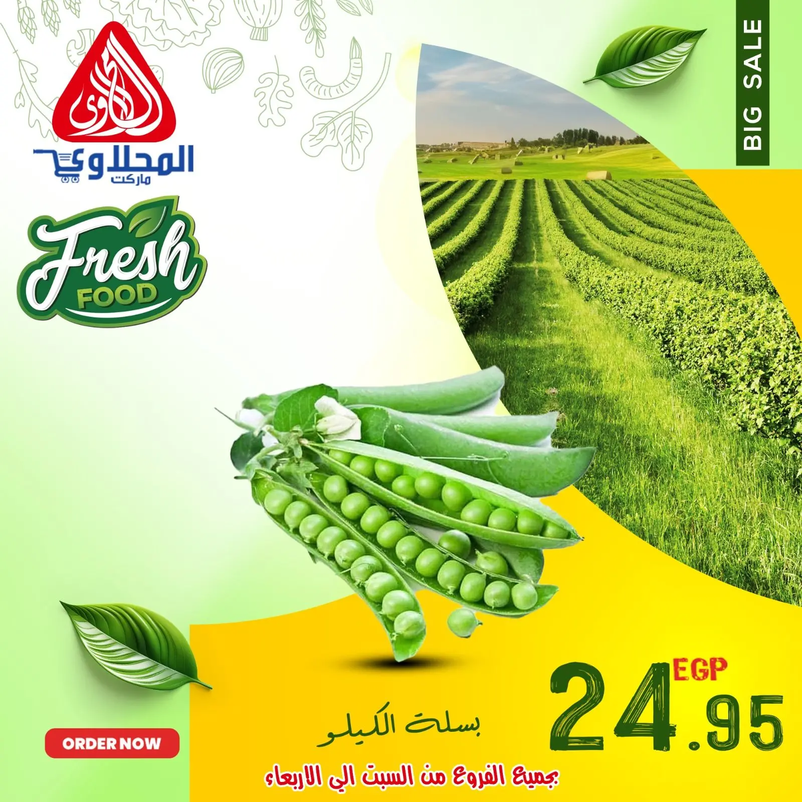 Página 11 en Ofertas de frutas y verduras en Mercado El Mahlawy Egipto