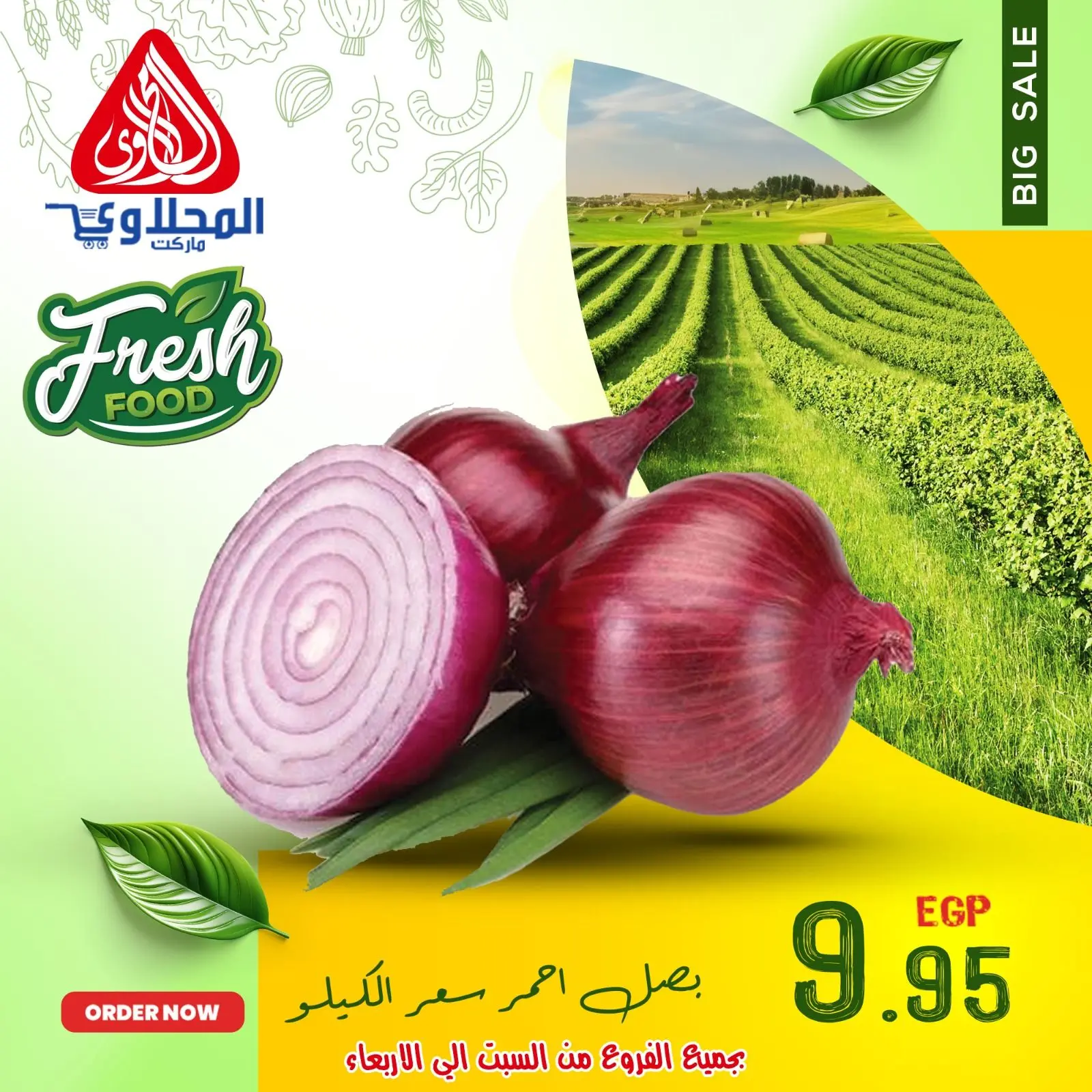 Página 10 en Ofertas de frutas y verduras en Mercado El Mahlawy Egipto