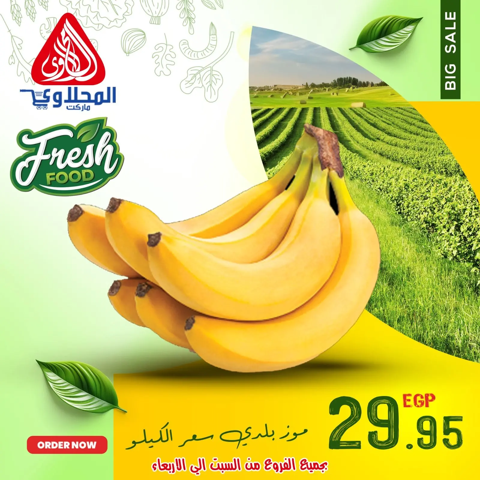 Página 6 en Ofertas de frutas y verduras en Mercado El Mahlawy Egipto