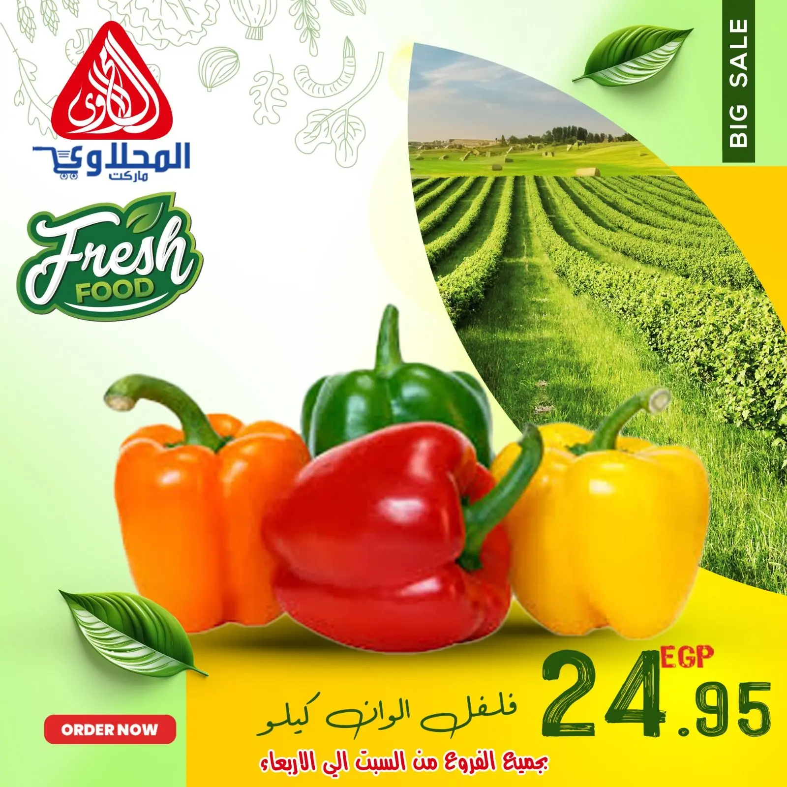 Página 9 en Ofertas de frutas y verduras en Mercado El Mahlawy Egipto