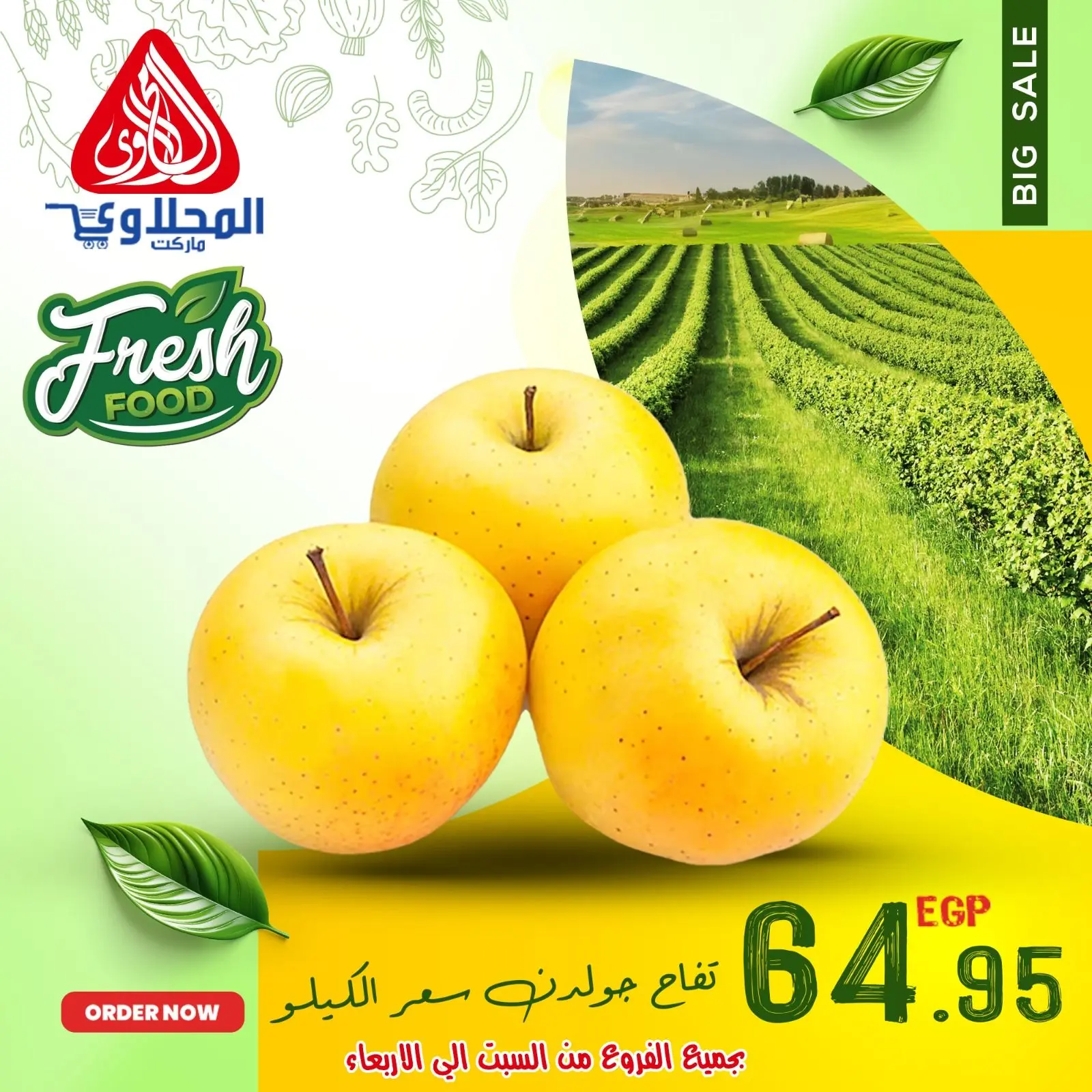Página 2 en Ofertas de frutas y verduras en Mercado El Mahlawy Egipto