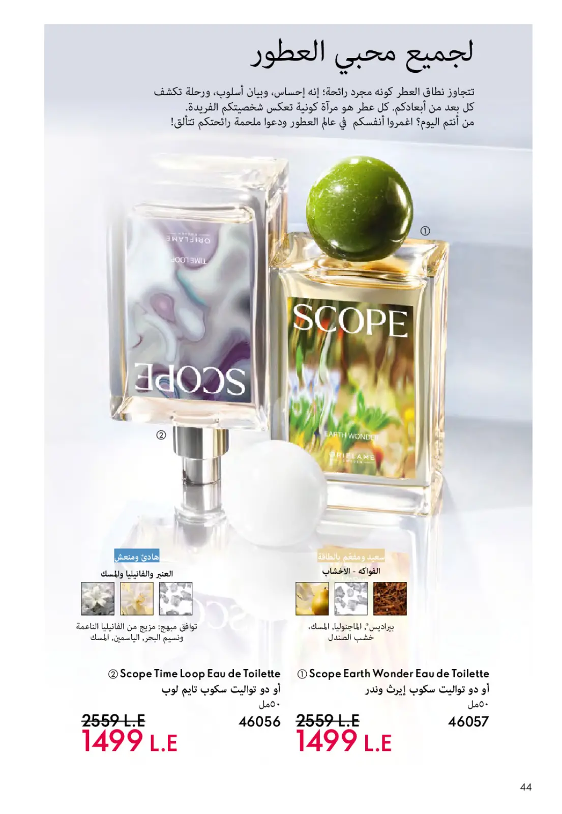 Página 45 en ofertas de diciembre en Oriflame Egipto