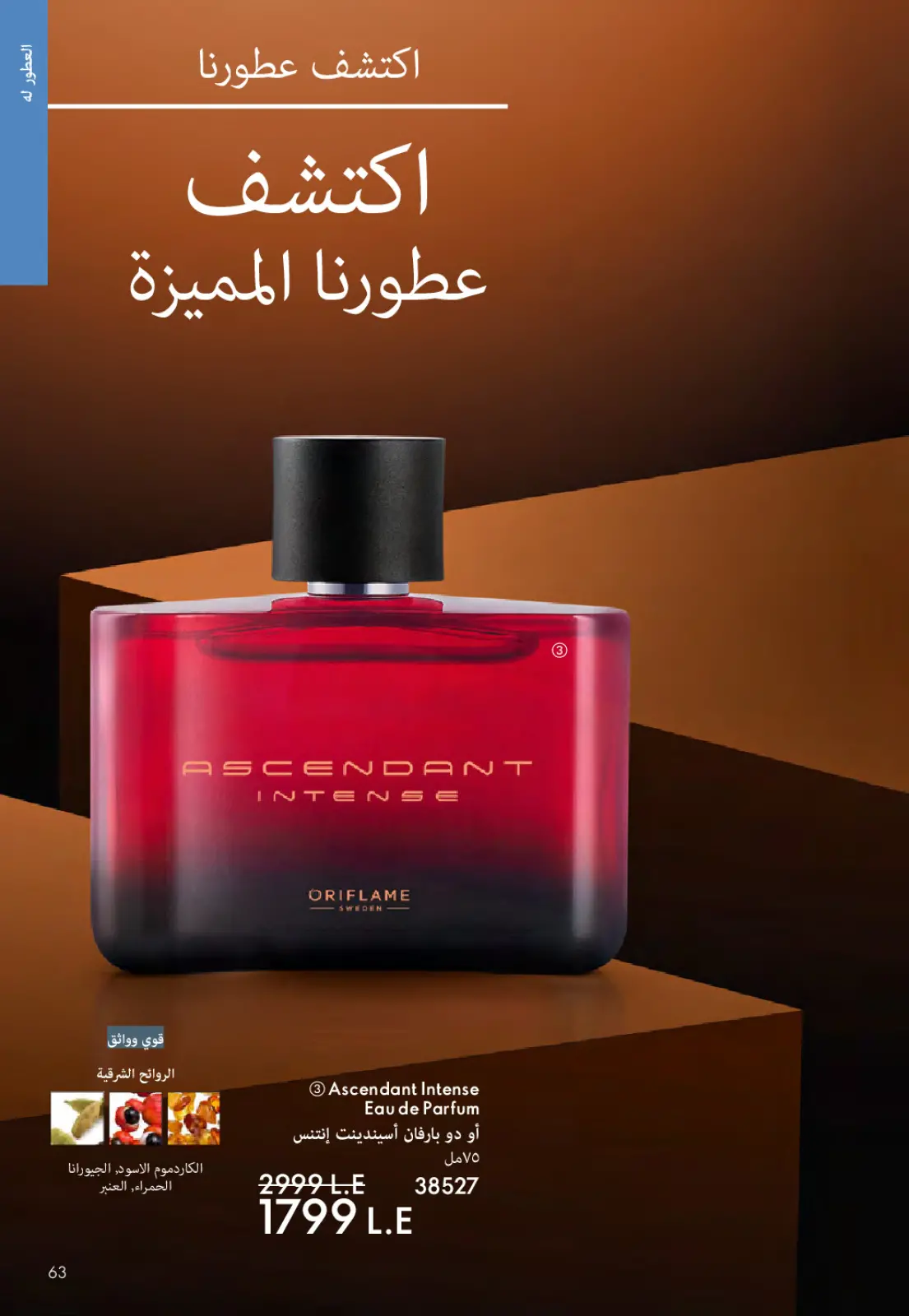 Página 62 en ofertas de diciembre en Oriflame Egipto
