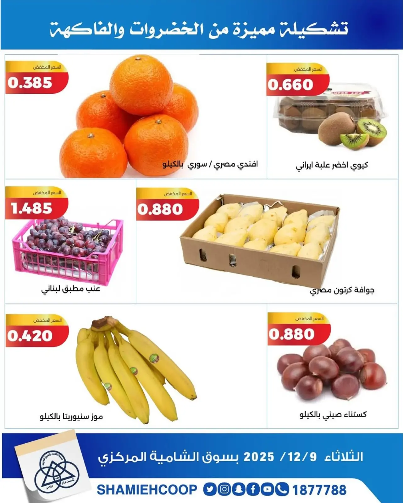 Page 3 in Vegetable and fruit offers at Shamieh coop Kuwait