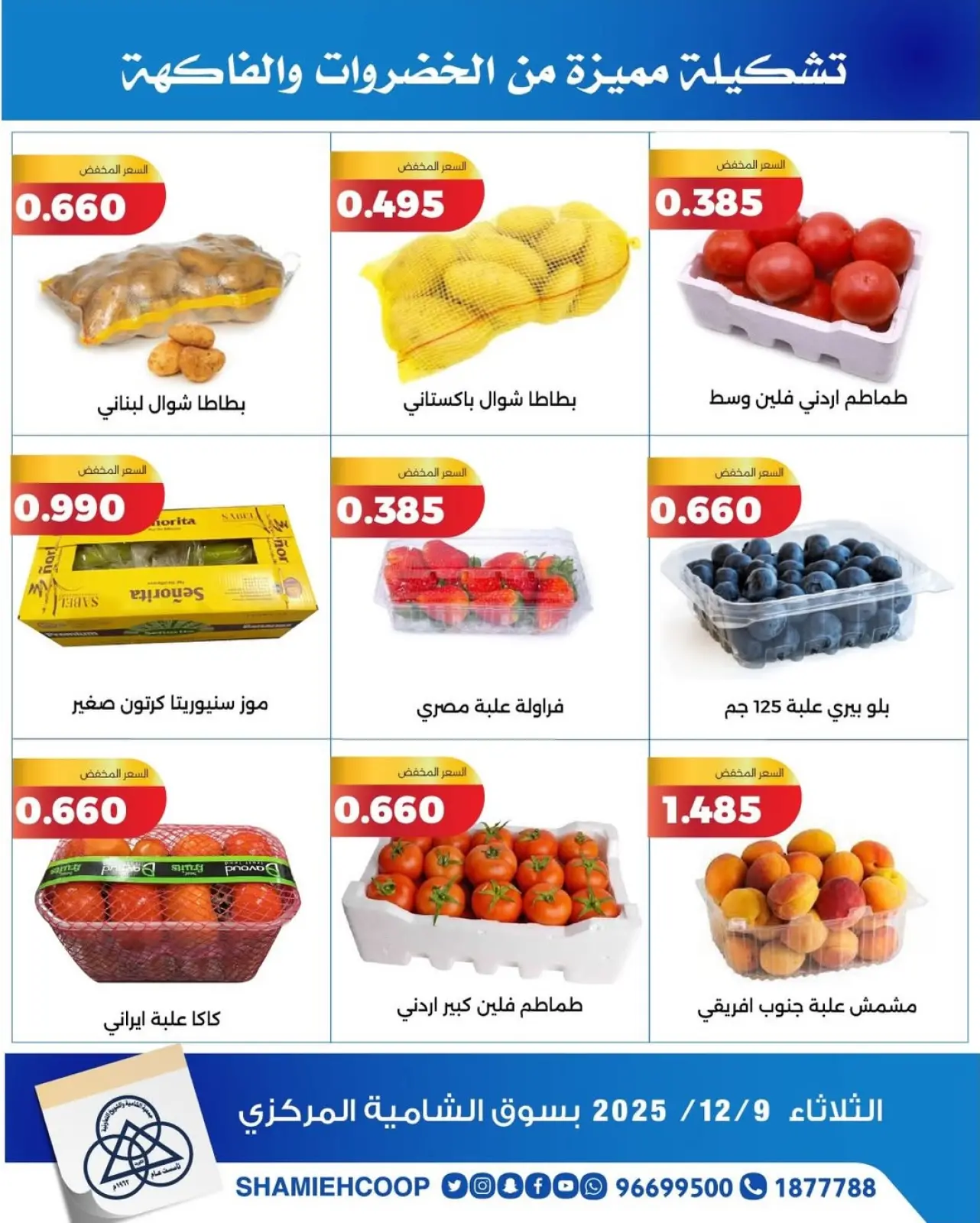 Page 2 in Vegetable and fruit offers at Shamieh coop Kuwait