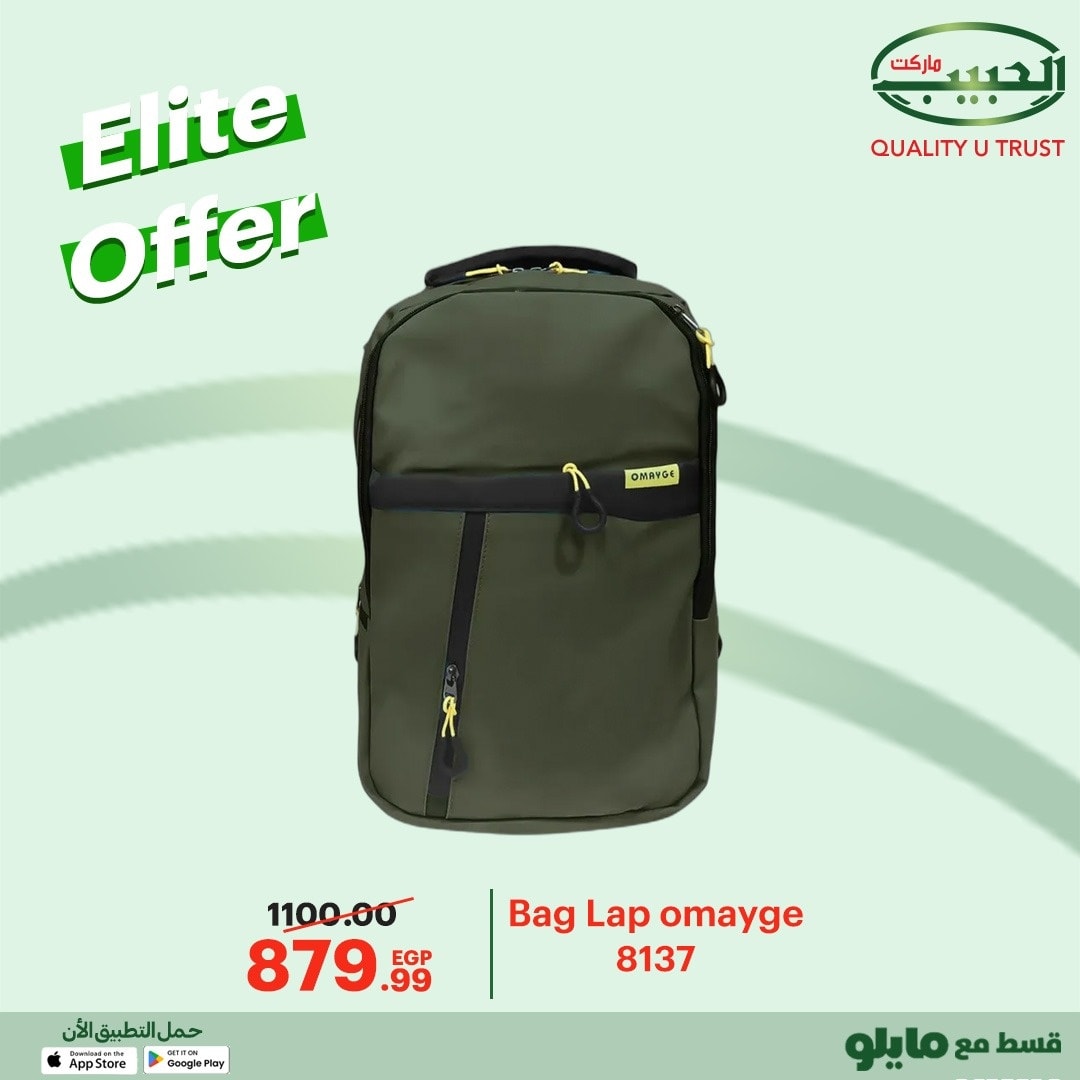 Al Habeeb Market Egypt Offers from 8 to 10 December 2025 Elite Offers