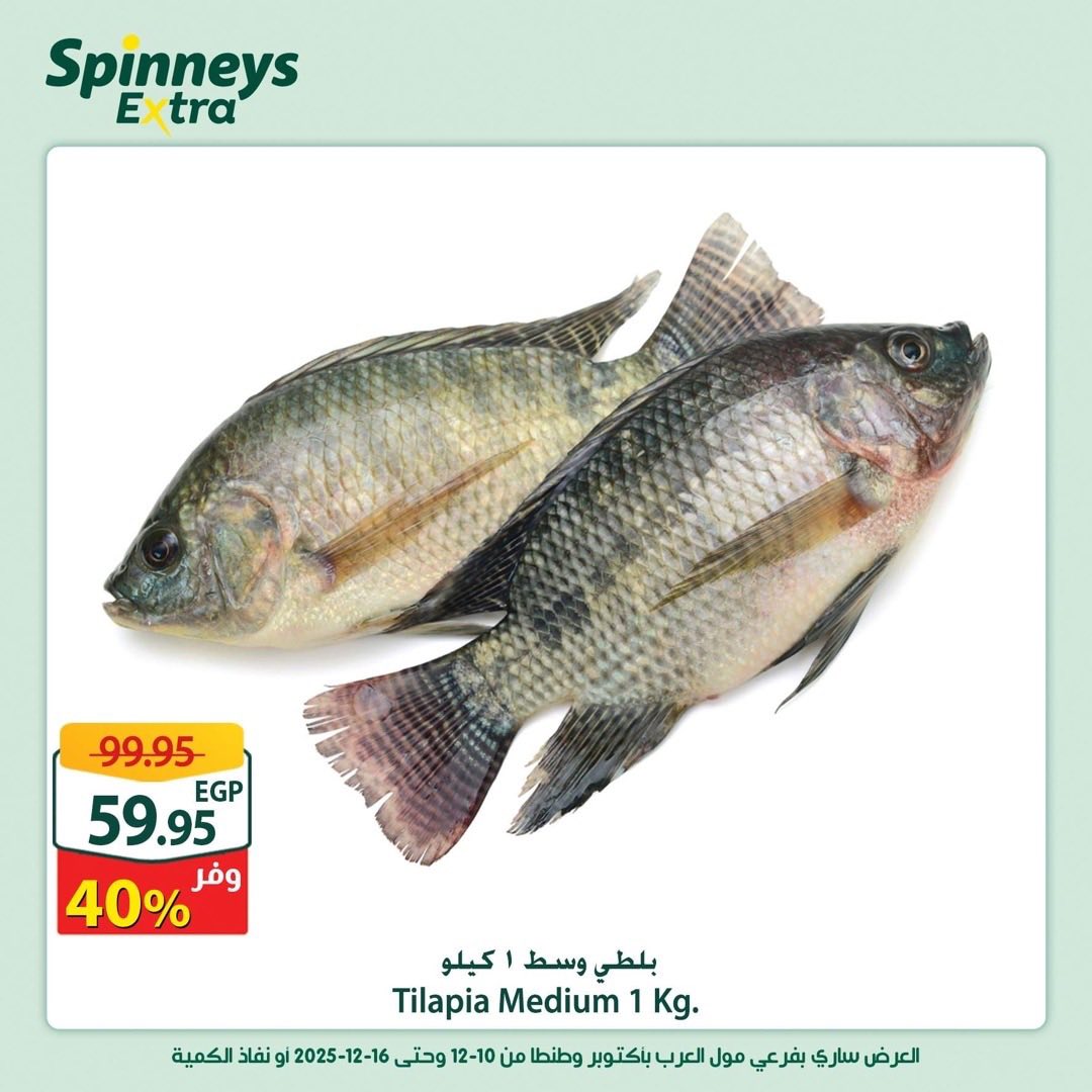 عروض سبينيس مصر من 10 حتى 16 ديسمبر 2025 عروض إكسترا