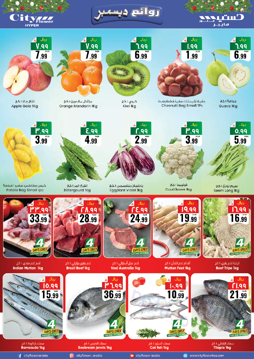 عروض سيتى فلاور  حائل  من 10 حتى 15 ديسمبر 2025 عروض ديسمبر ديلايتس