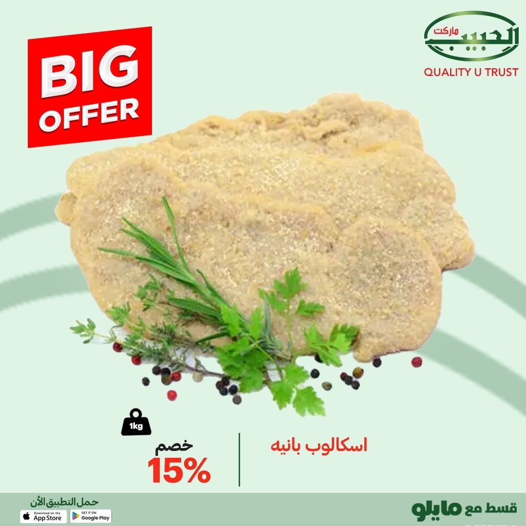 Al Habeeb Market Egypt Offers from 10 to 16 December 2025 Big offers
