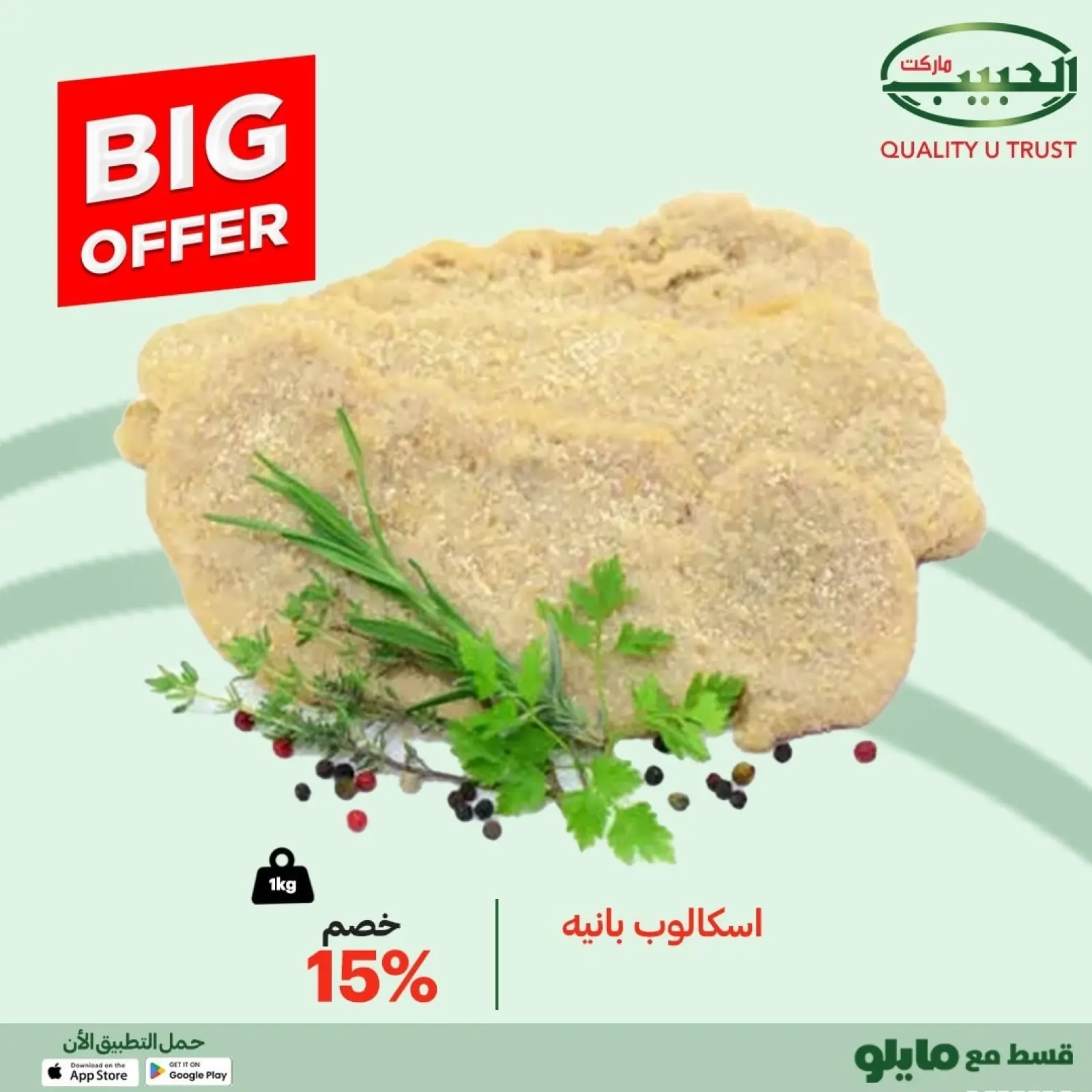 Page 10 in Big offers at Al Habeeb Market Egypt