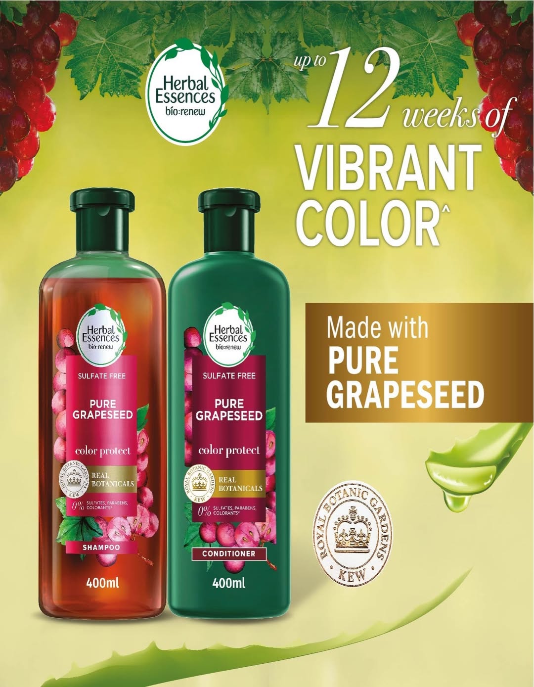 Al Surra coop Kuwait Offers from 10 to 16 December 2025 Central Market Festival Offers