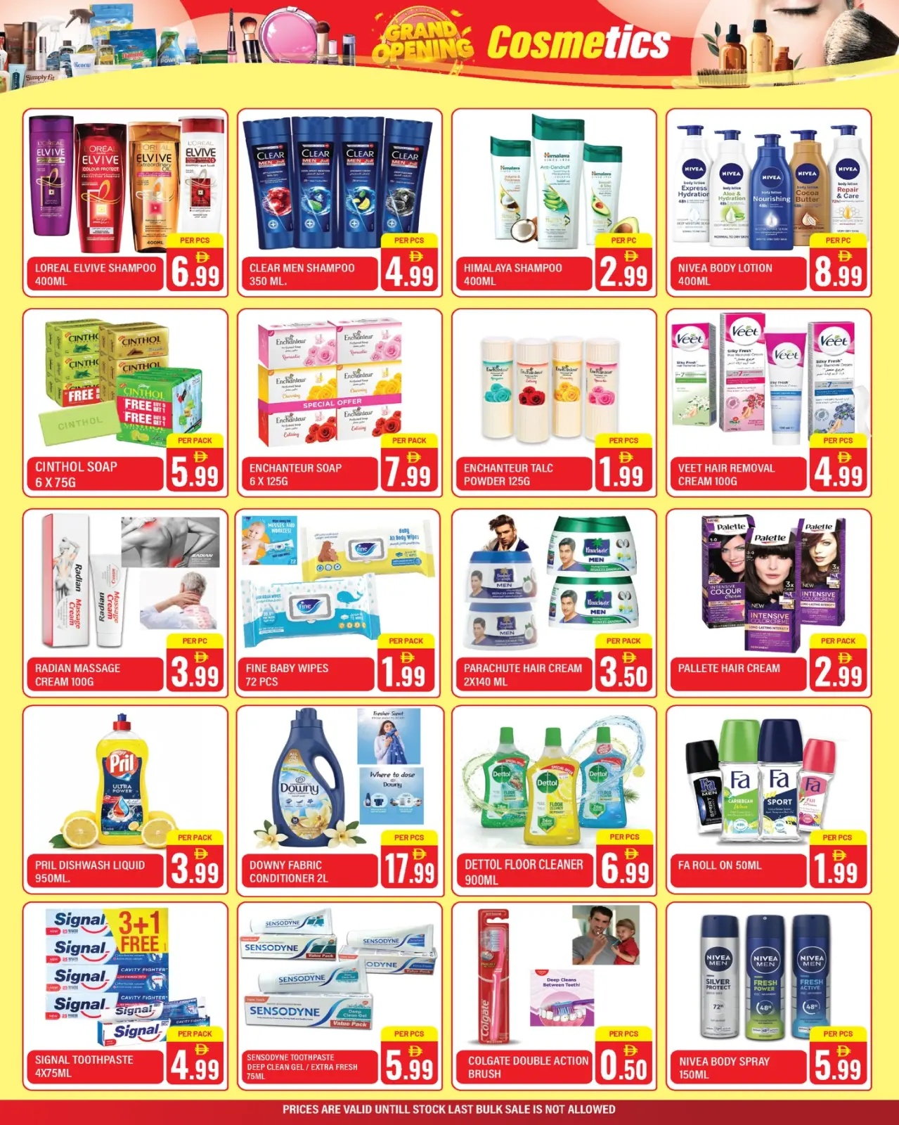 Page 10 in Grand Opening Offers at Dream Land supermarket UAE