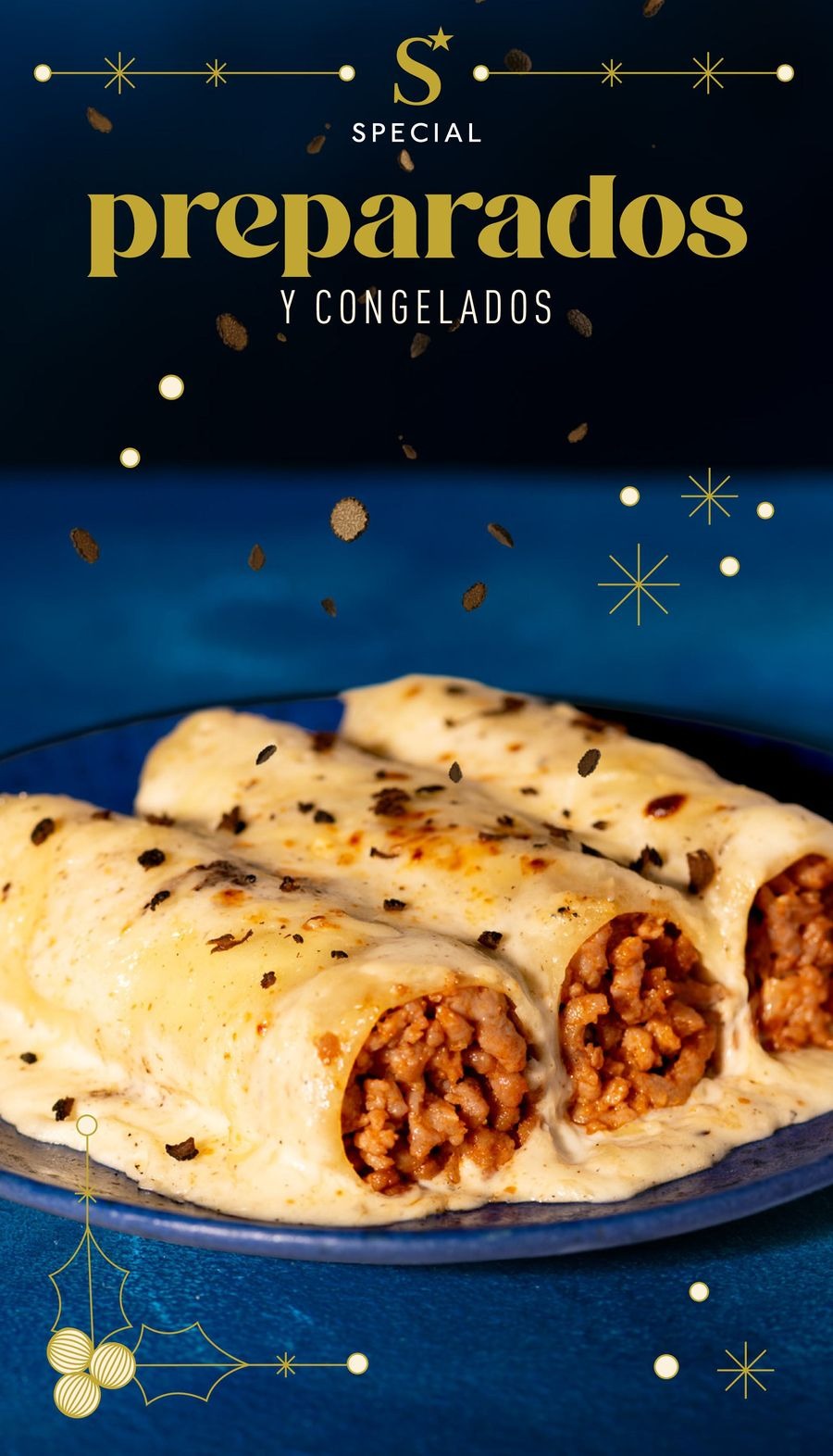 ALDI Spain Offers from 10 to 16 December 2025 Celebrate Every Day with Special Deals