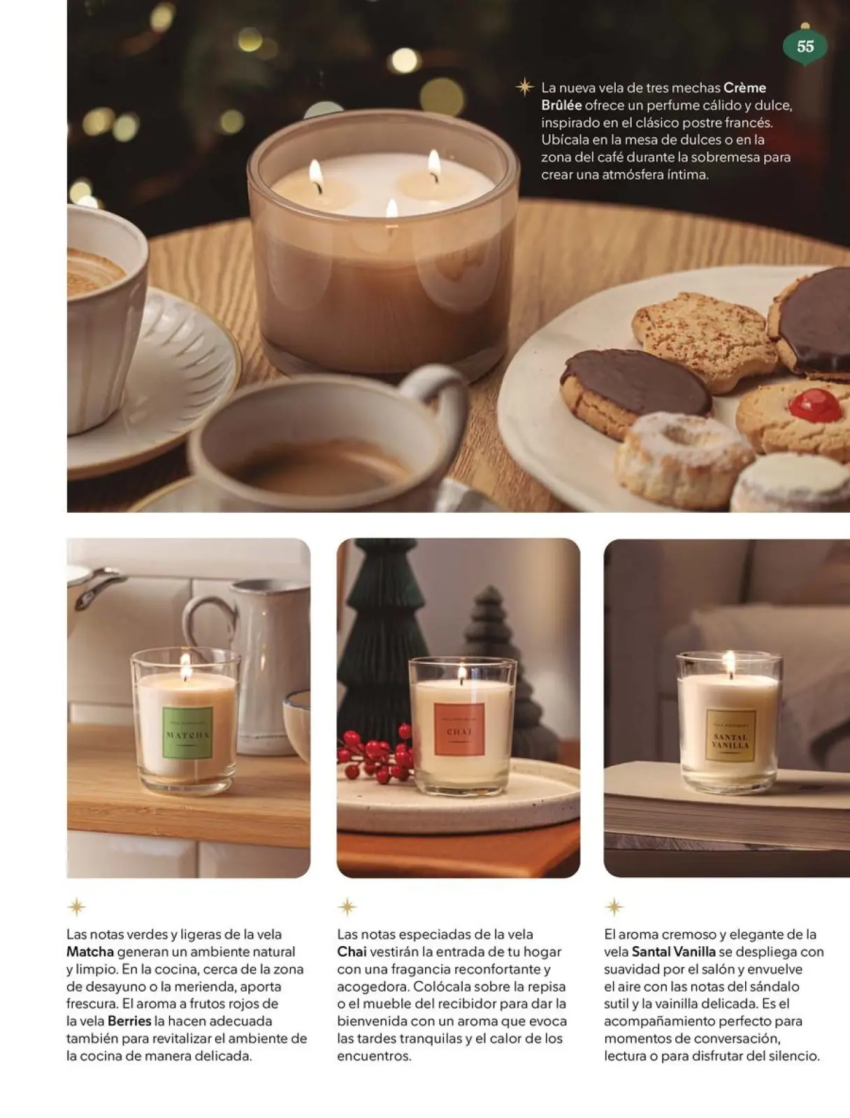 Page 55 dans Brochure de réductions chez Mercadona Espagne