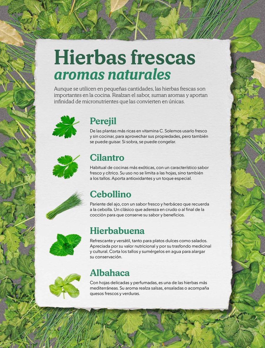 Ofertas de Mercadona España de 2 a 31 diciembre 2025 Folleto de descuentos