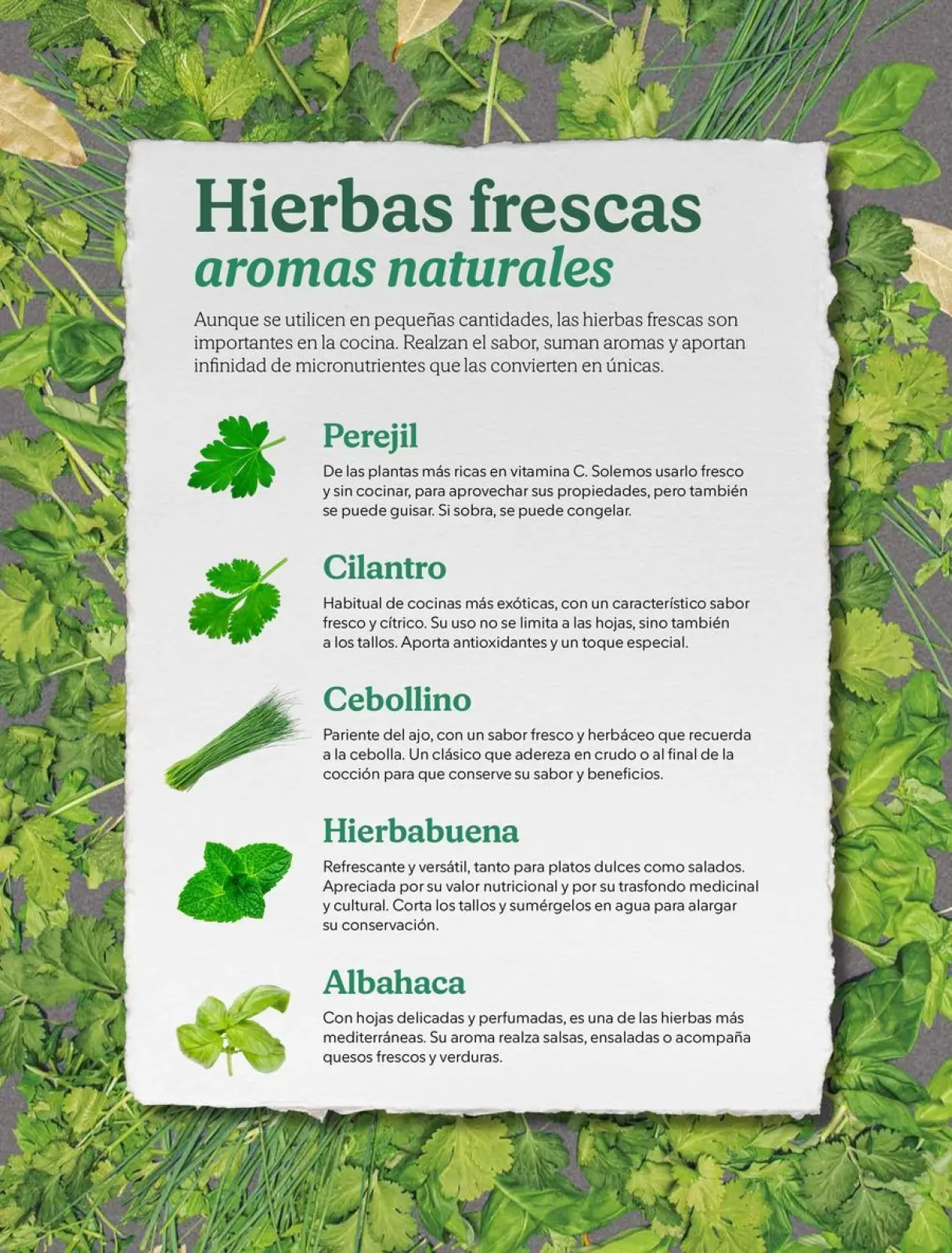 Page 26 dans Brochure de réductions chez Mercadona Espagne