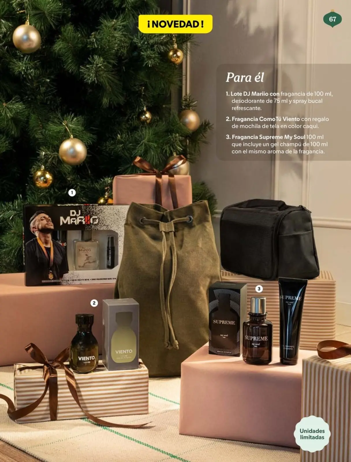 Page 67 dans Brochure de réductions chez Mercadona Espagne