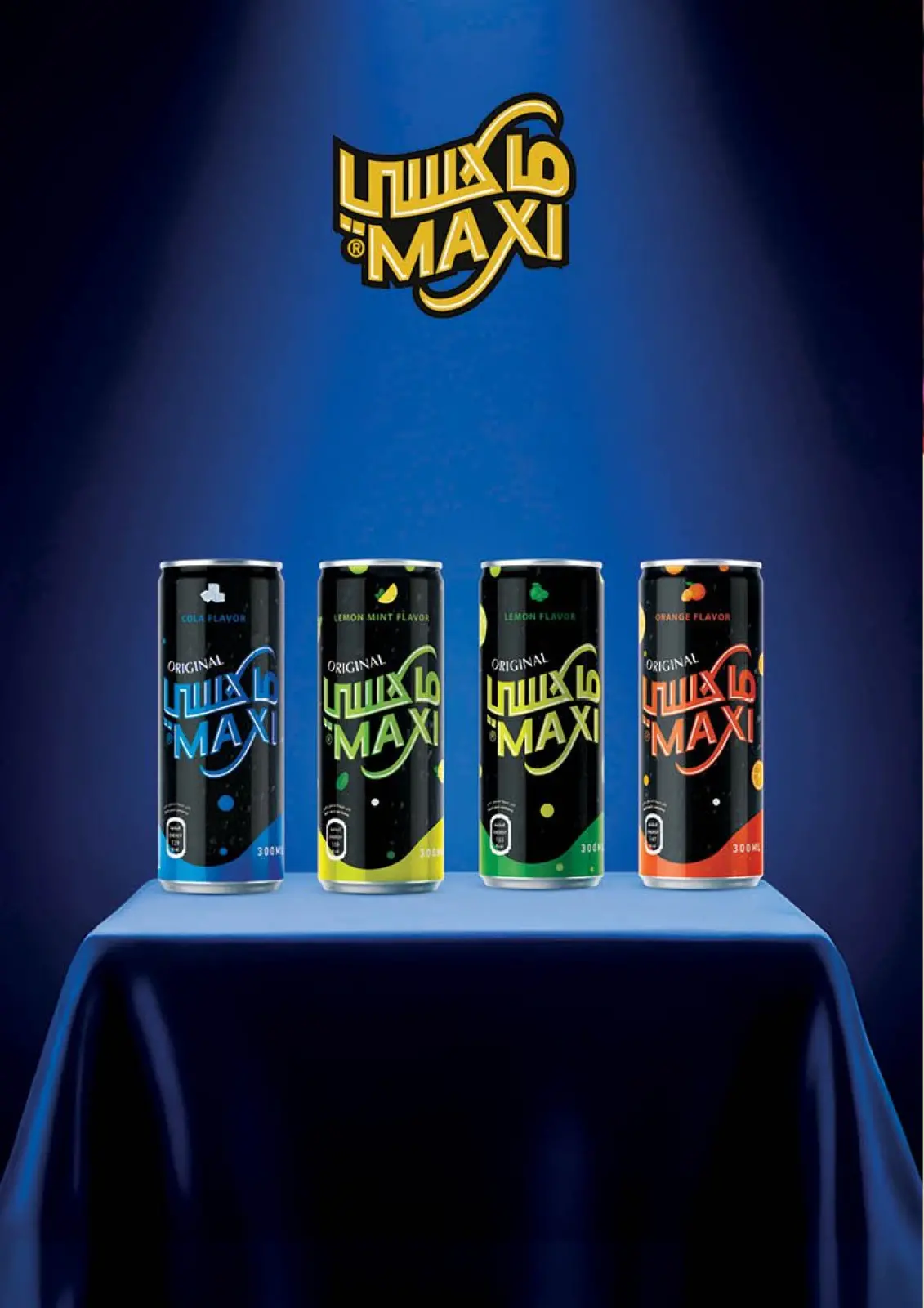 Page 25 in End of Year offer at Mahmoud Elfar Egypt