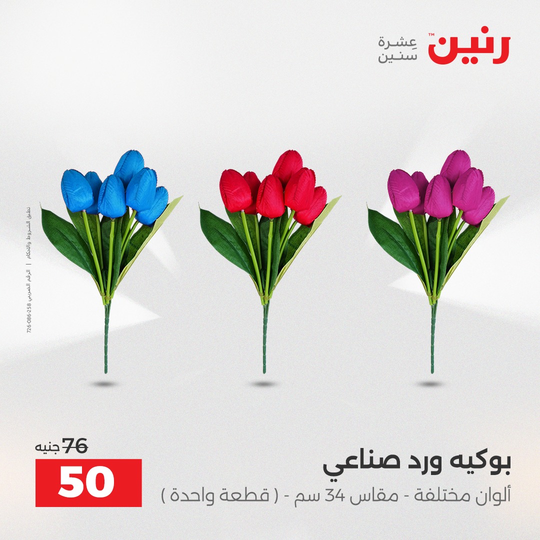 عروض رنين مصر من 14 حتى 15 ديسمبر 2025 عروض قطع الديكور