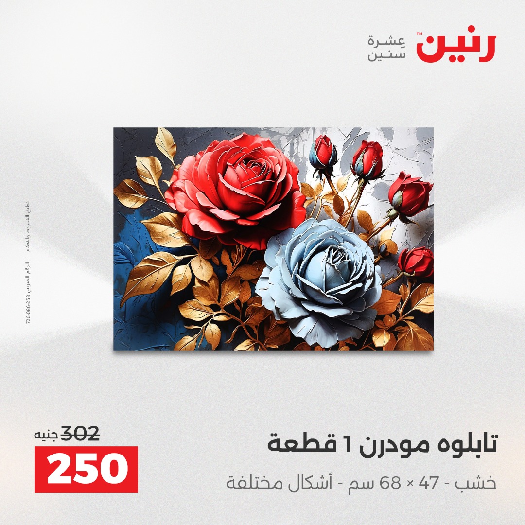 عروض رنين مصر من 14 حتى 15 ديسمبر 2025 عروض قطع الديكور