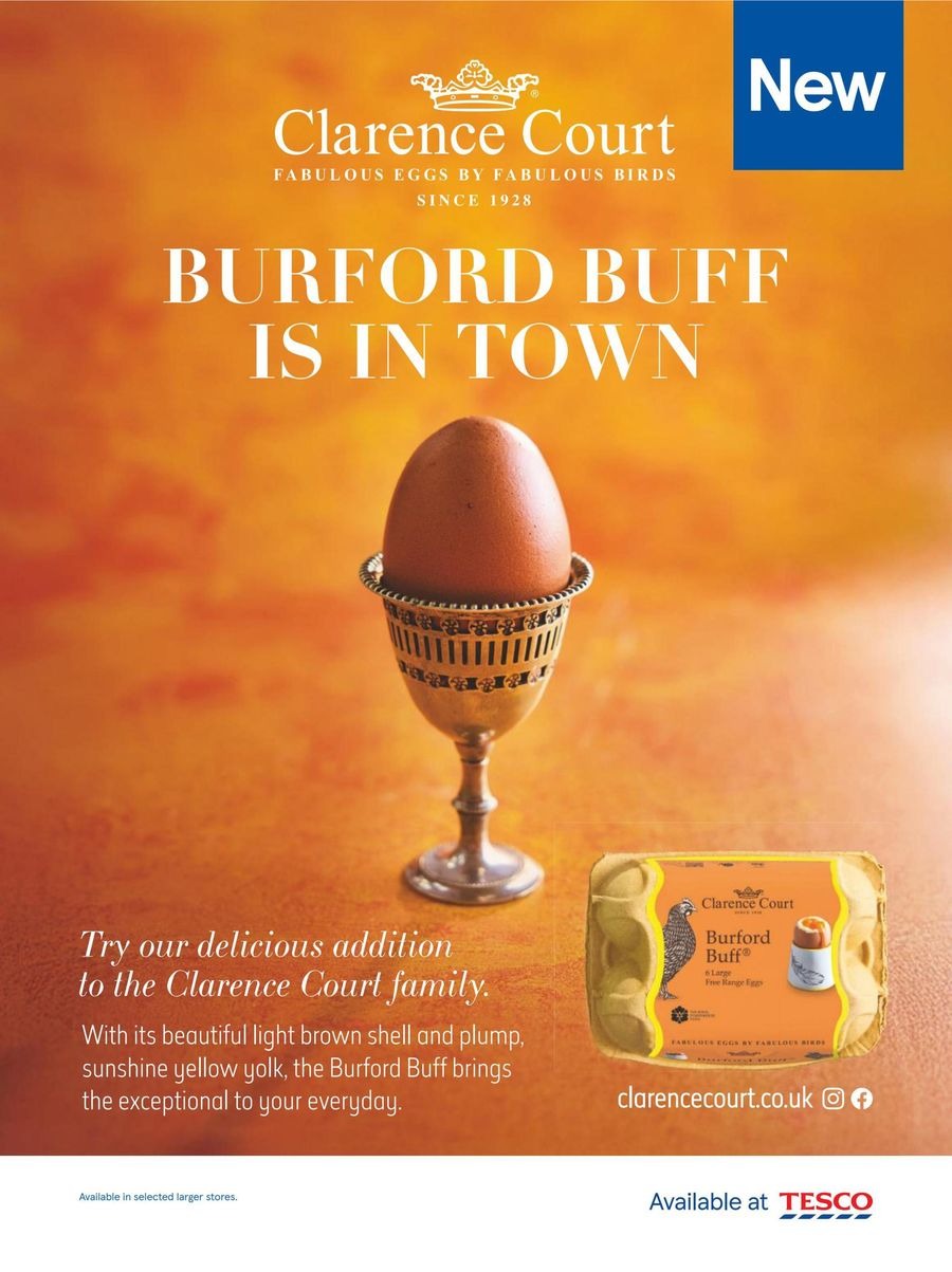 عروض تيسكو بريطانيا من 1 حتى 31 ديسمبر 2025 عروض ضخمة - تيسكو - المملكة المتحدة - 1 ديسمبر 2025 – 31 ديسمبر 2025 - صفحة 32