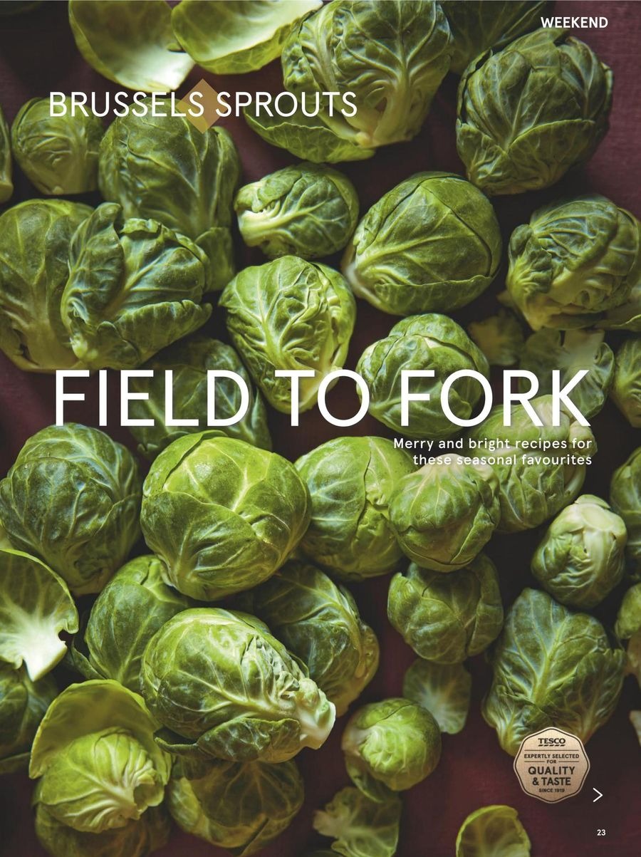 عروض تيسكو بريطانيا من 1 حتى 31 ديسمبر 2025 عروض ضخمة - تيسكو - المملكة المتحدة - 1 ديسمبر 2025 – 31 ديسمبر 2025 - صفحة 23