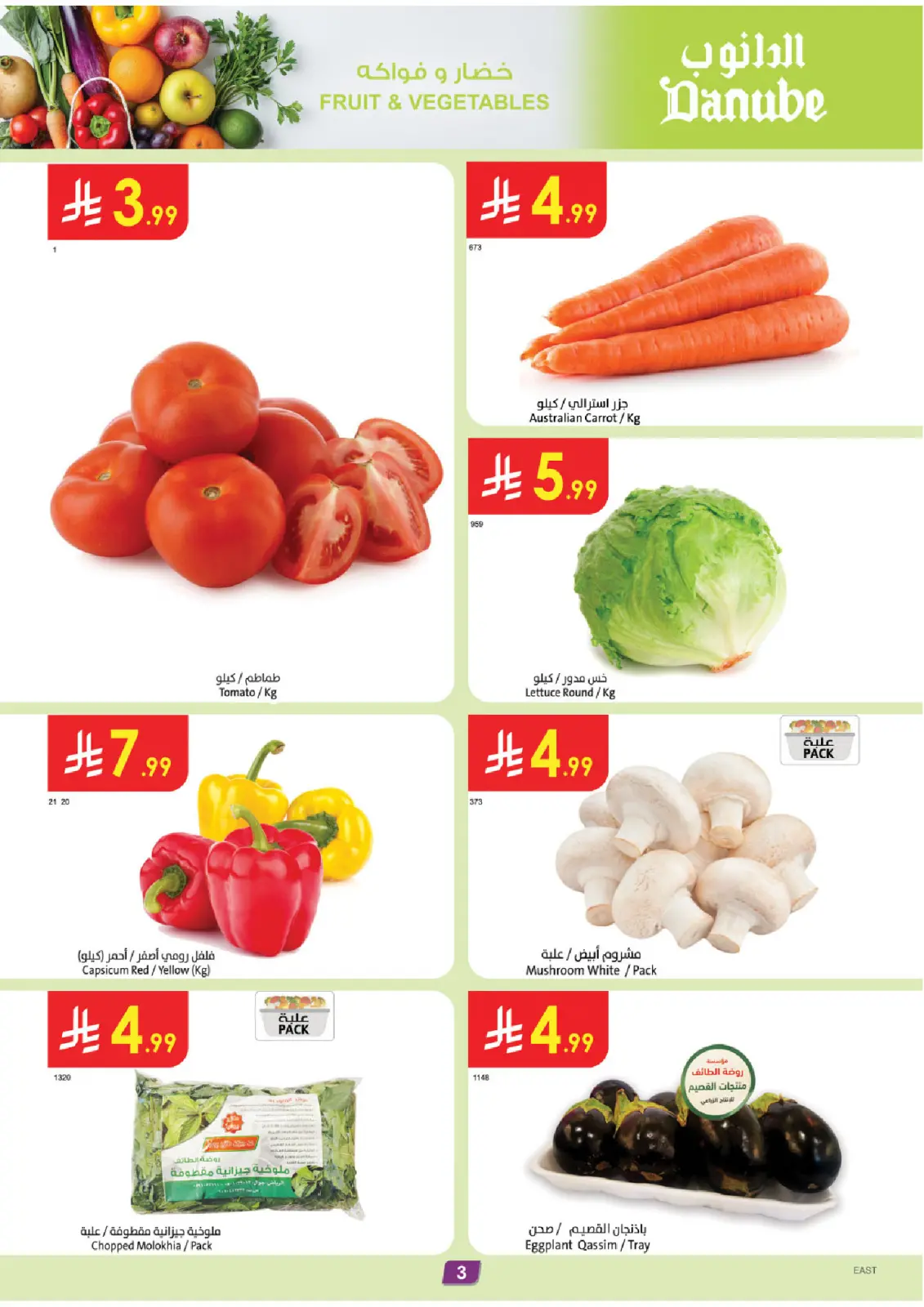 Page 3 dans Offres d'hiver chez Danube Arabie Saoudite