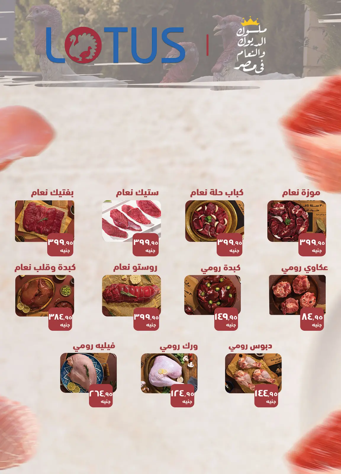 Página 6 en Ofertas de fin de año en Mercado Al Rayah Egipto