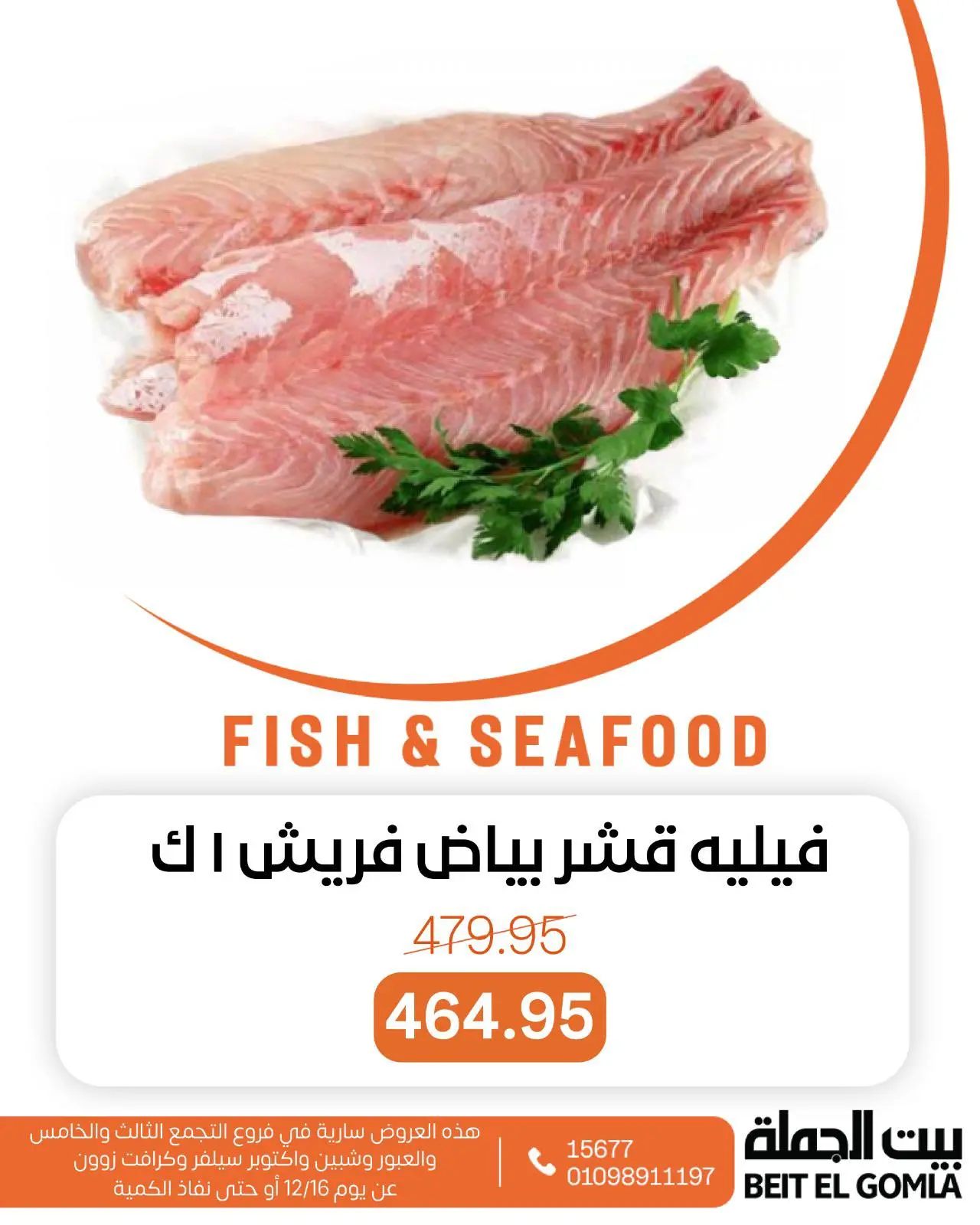 Página 9 en Ofertas de pescado en Casa Gomla Egipto