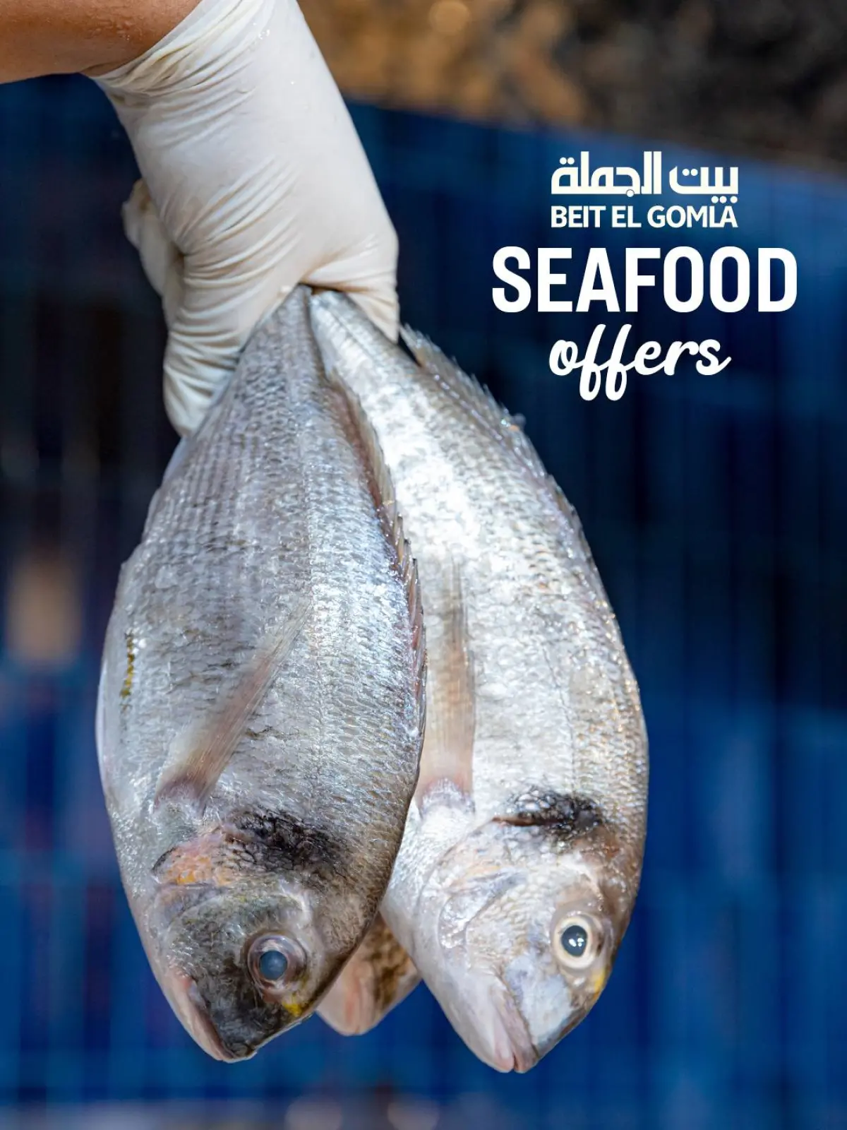 Página 1 en Ofertas de pescado en Casa Gomla Egipto