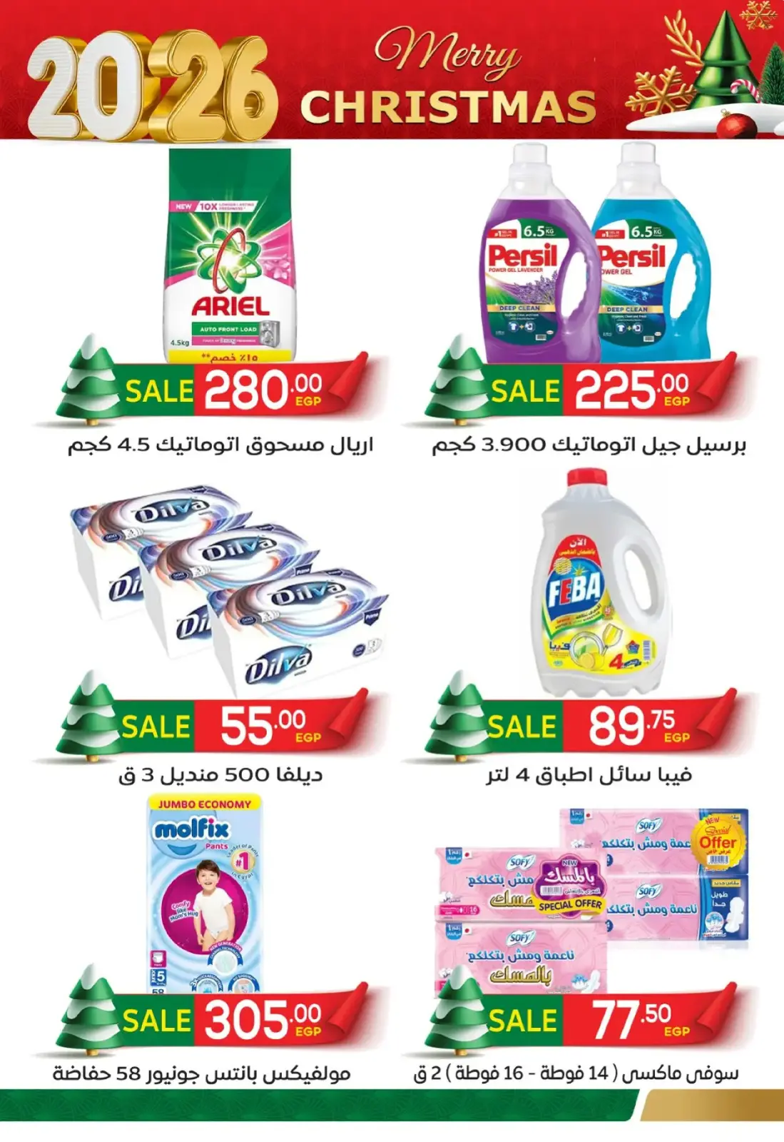 Página 12 en Ofertas de fin de semana en Mercado El Mahlawy Egipto