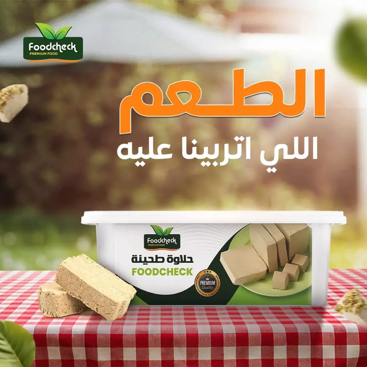 عروض أولاد المحلاوى مصر من 17 حتى 31 ديسمبر 2025 عروض أخر السنة - صفحة 43