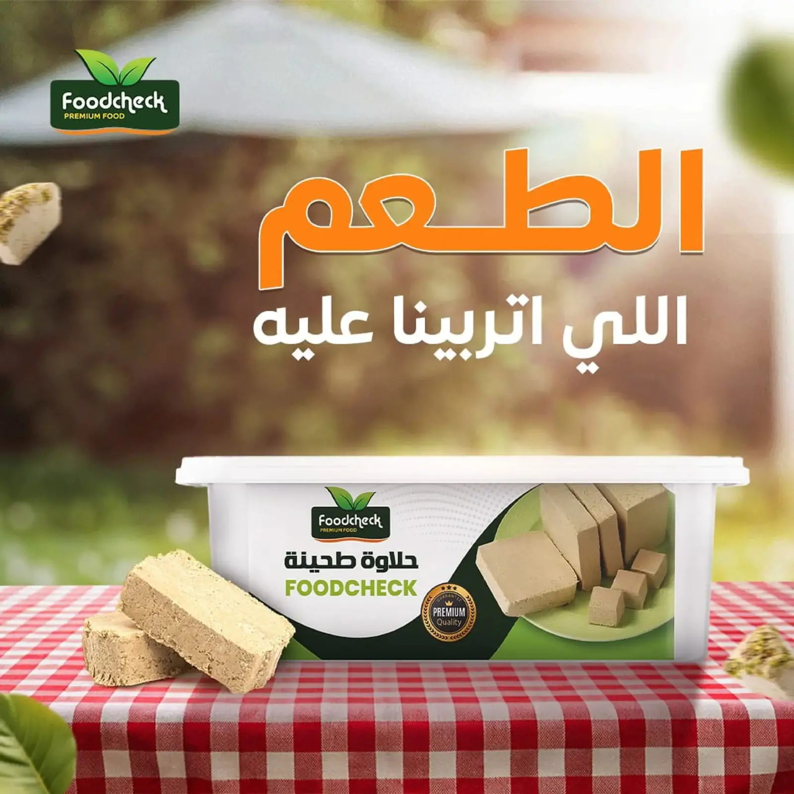 Página 43 en Ofertas de fin de año en El mhallawy Sons Egipto