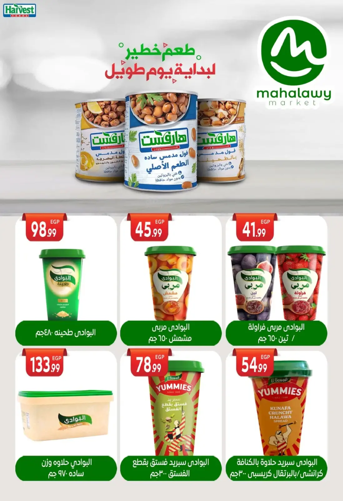 Página 42 en Ofertas de fin de año en El mhallawy Sons Egipto